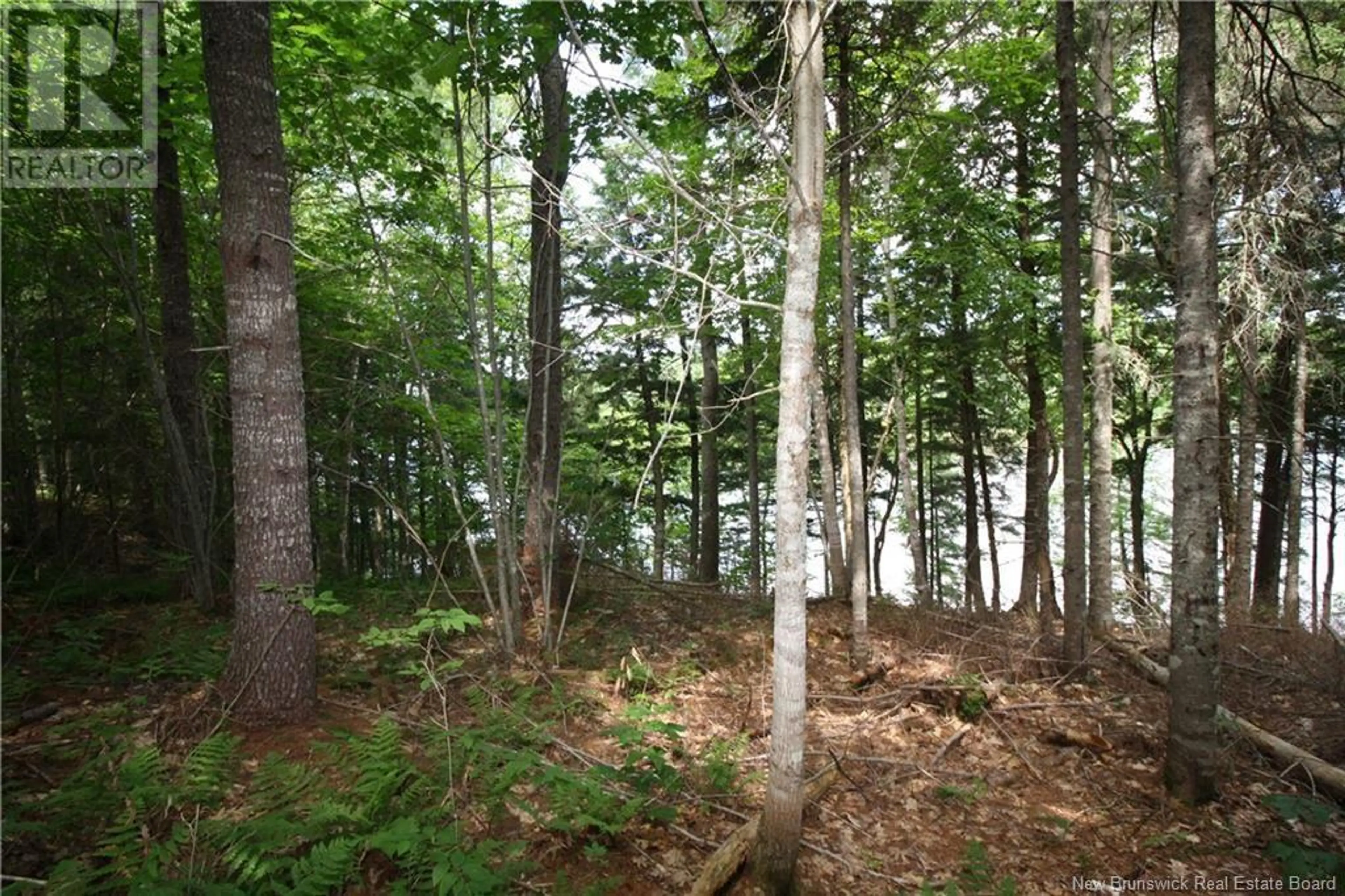 15-59 BASS RIVER POINT ROUTE - Image 4