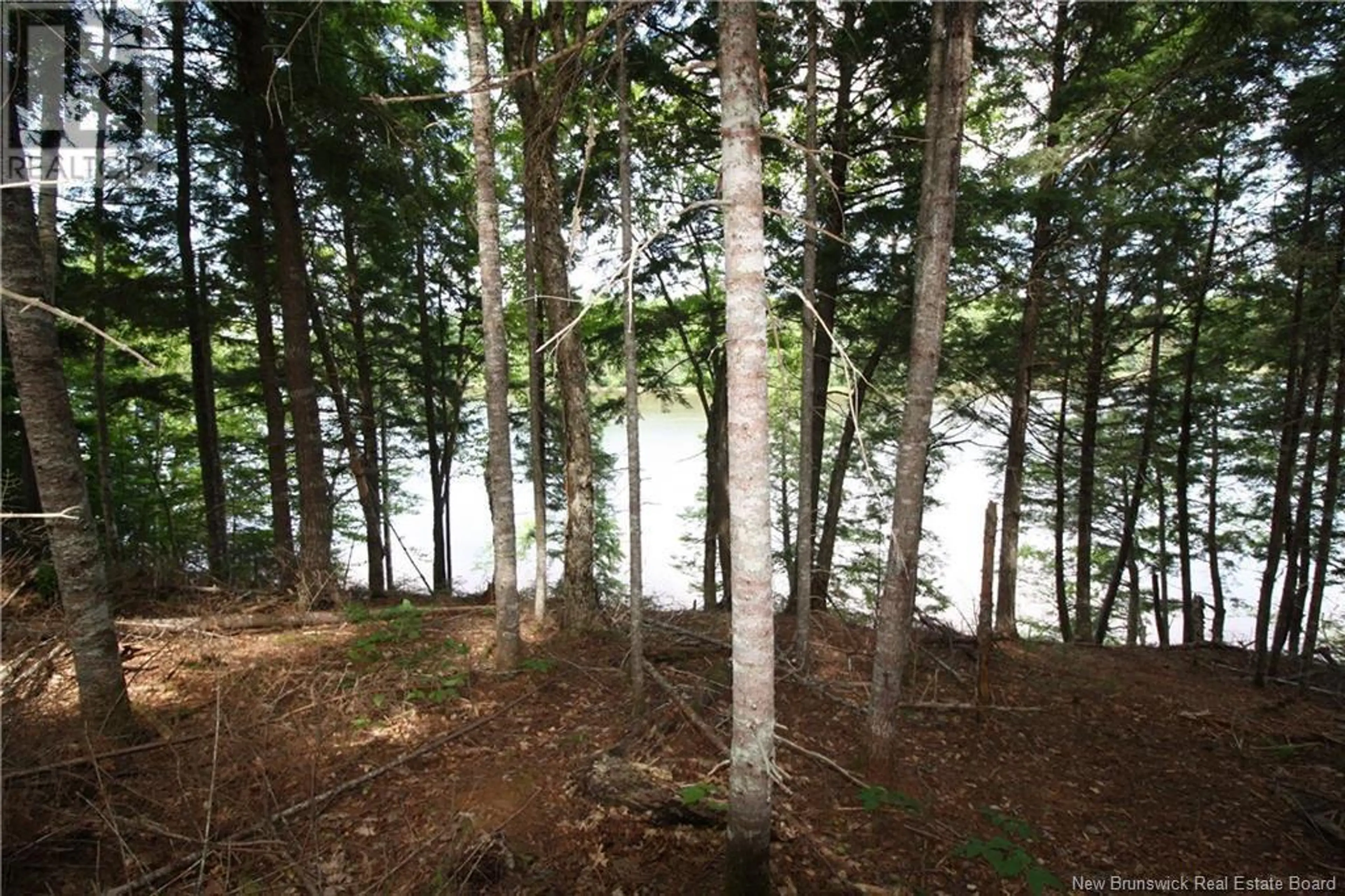 15-59 BASS RIVER POINT ROUTE - Image 5