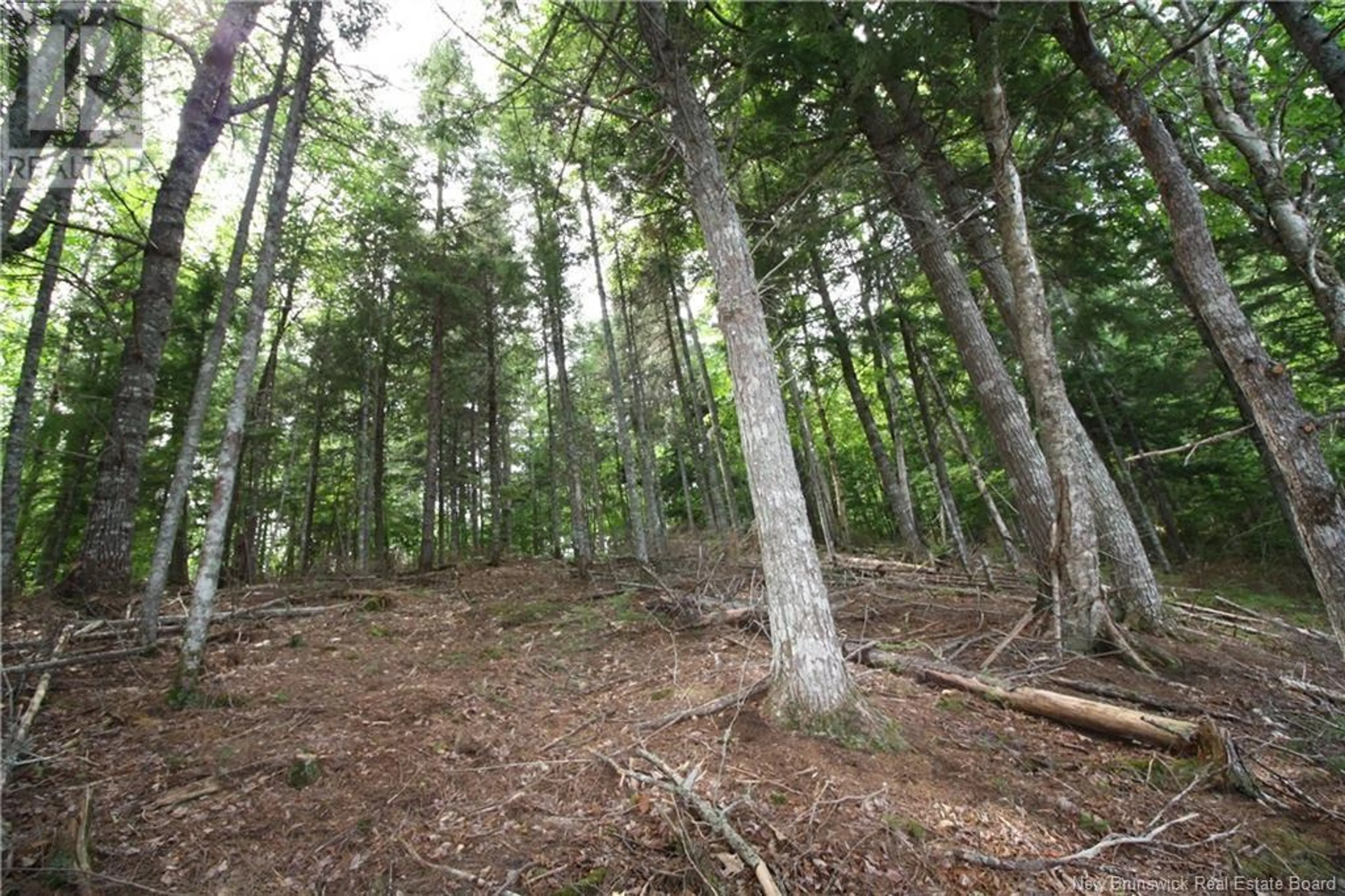 15-59 BASS RIVER POINT ROUTE - Image 7