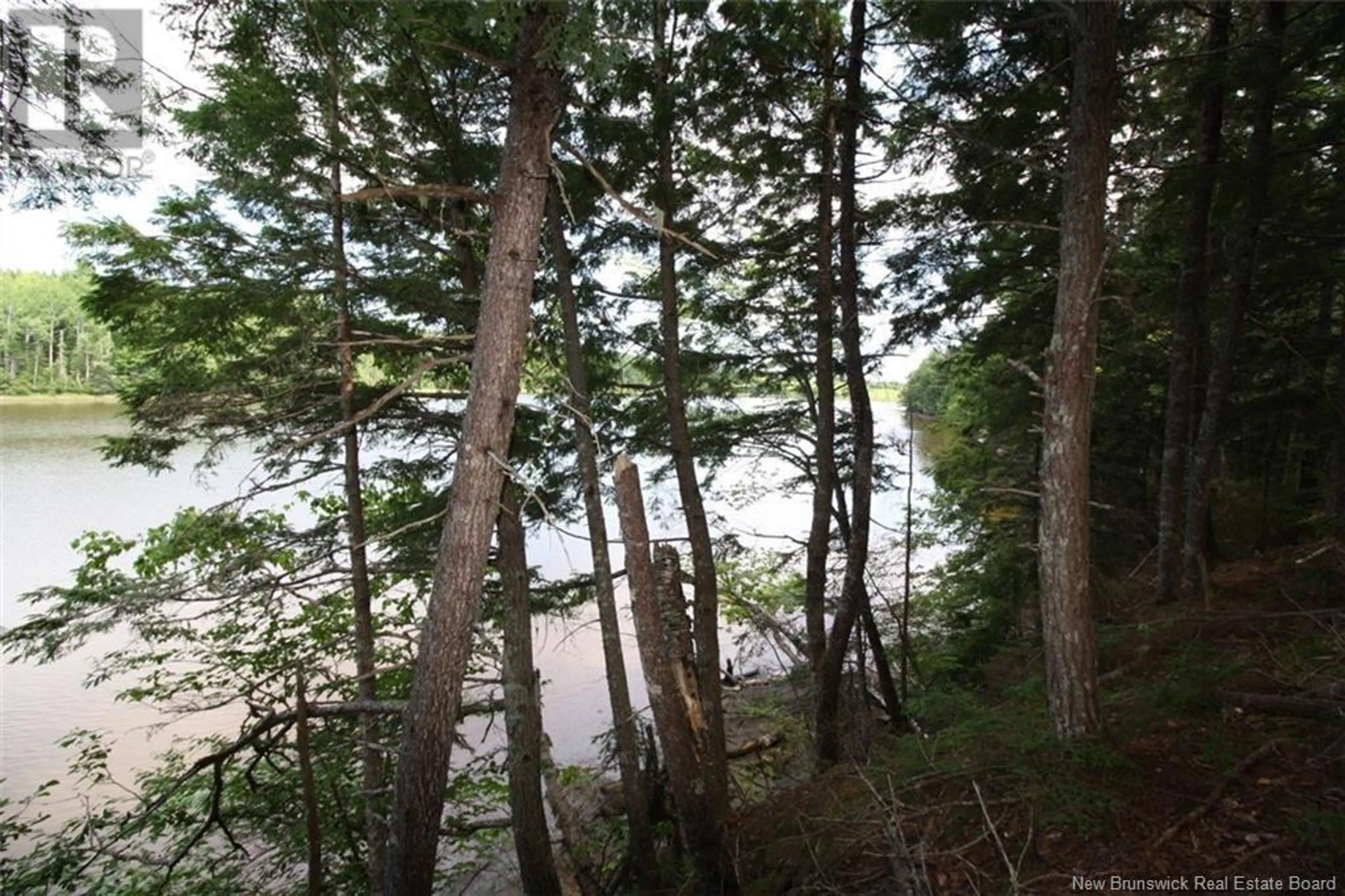 15-59 BASS RIVER POINT ROUTE - Image 2