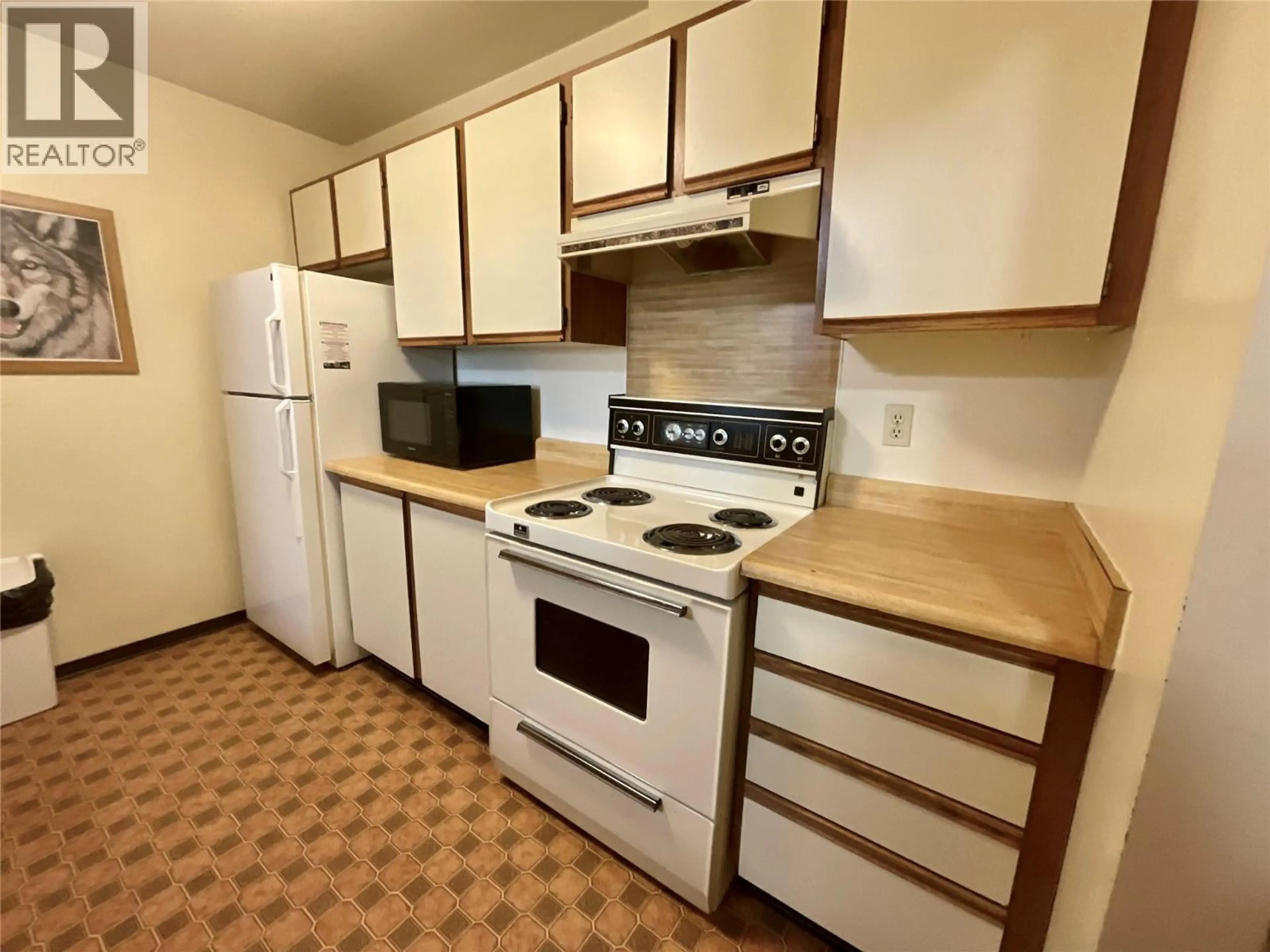 Property at #113 195 CHAMBERLAIN CRESCENT, Tumbler Ridge, BC