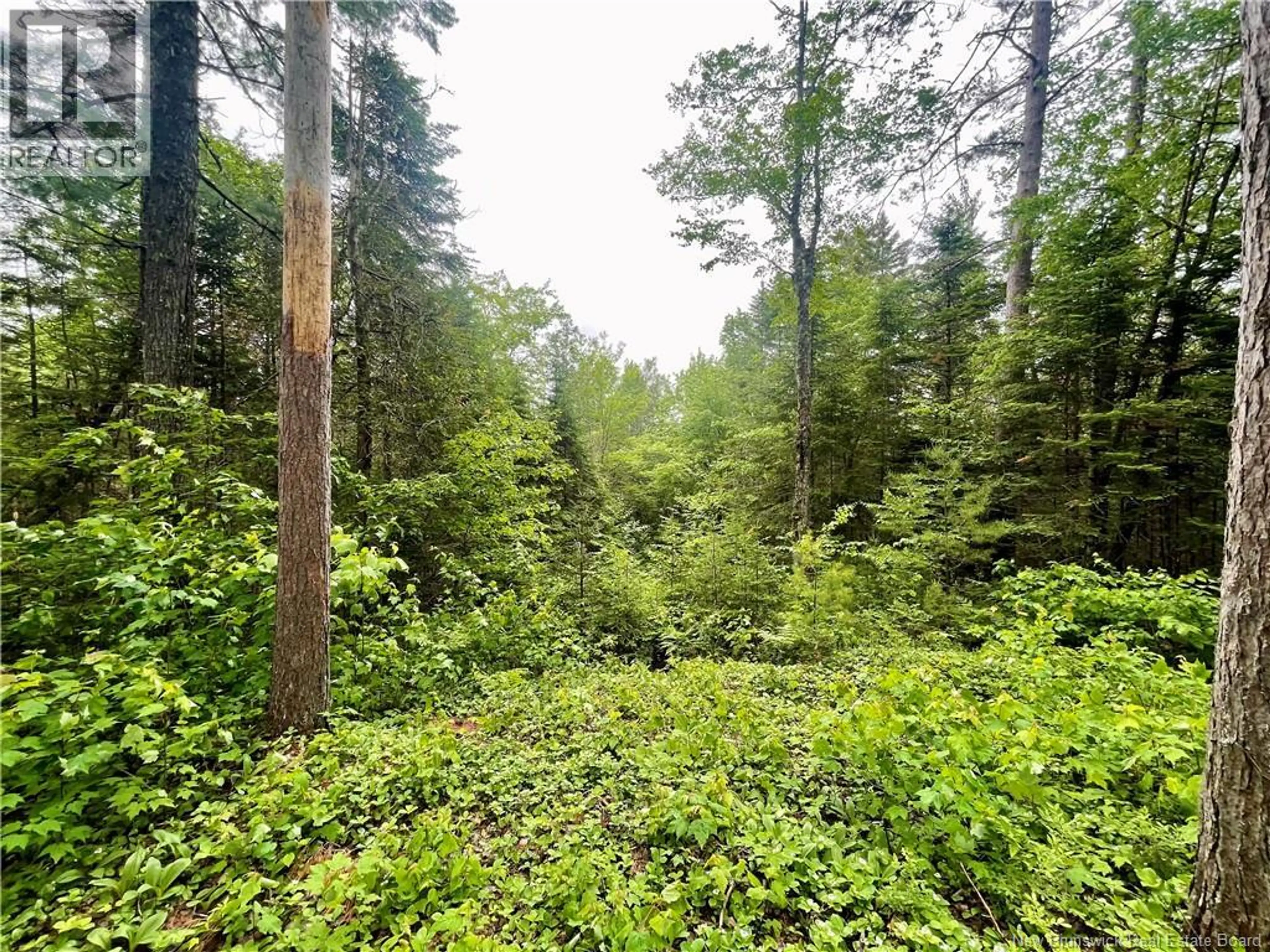 3689 ROUTE 3 - Image 7