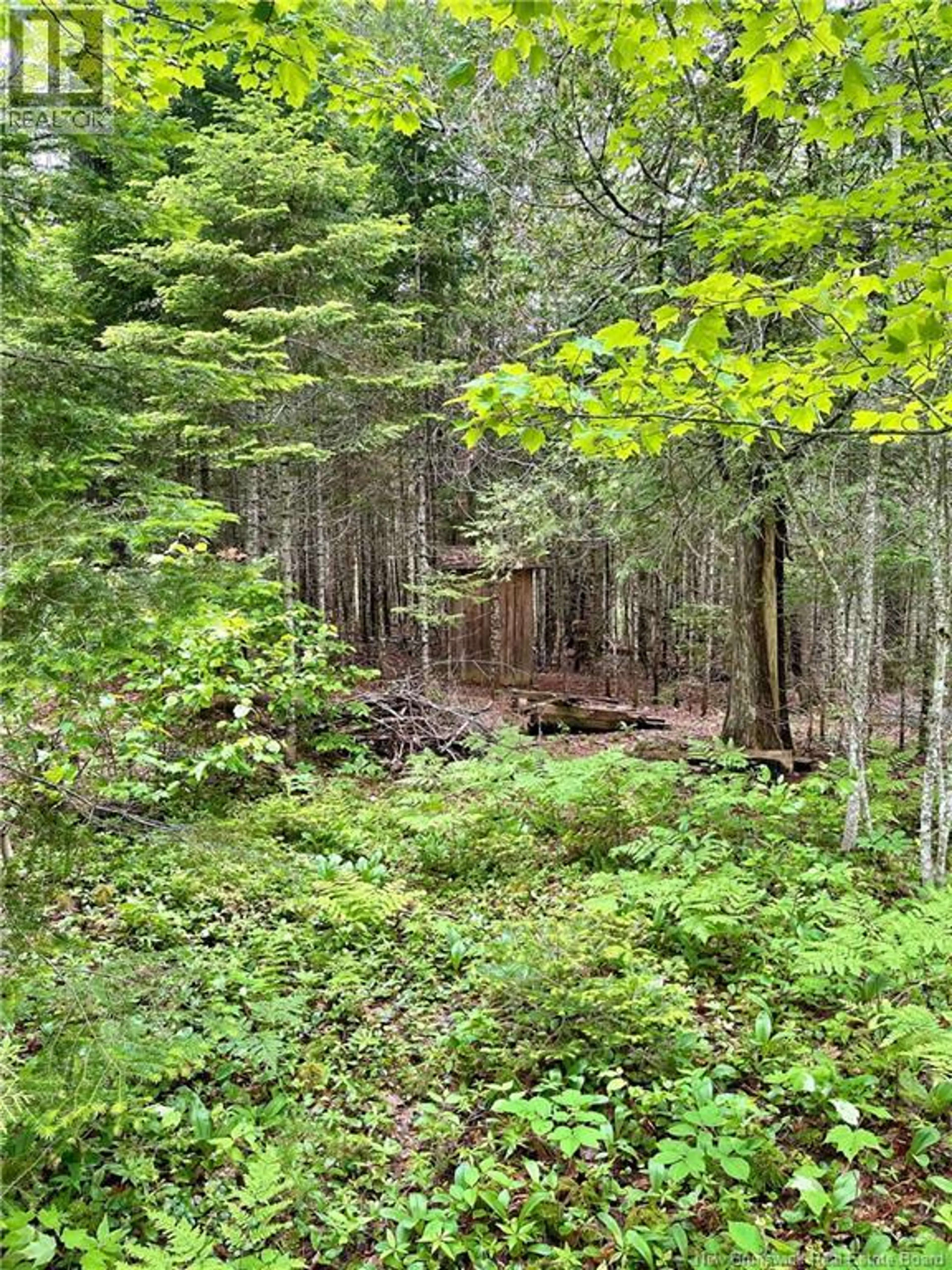 3689 ROUTE 3 - Image 8