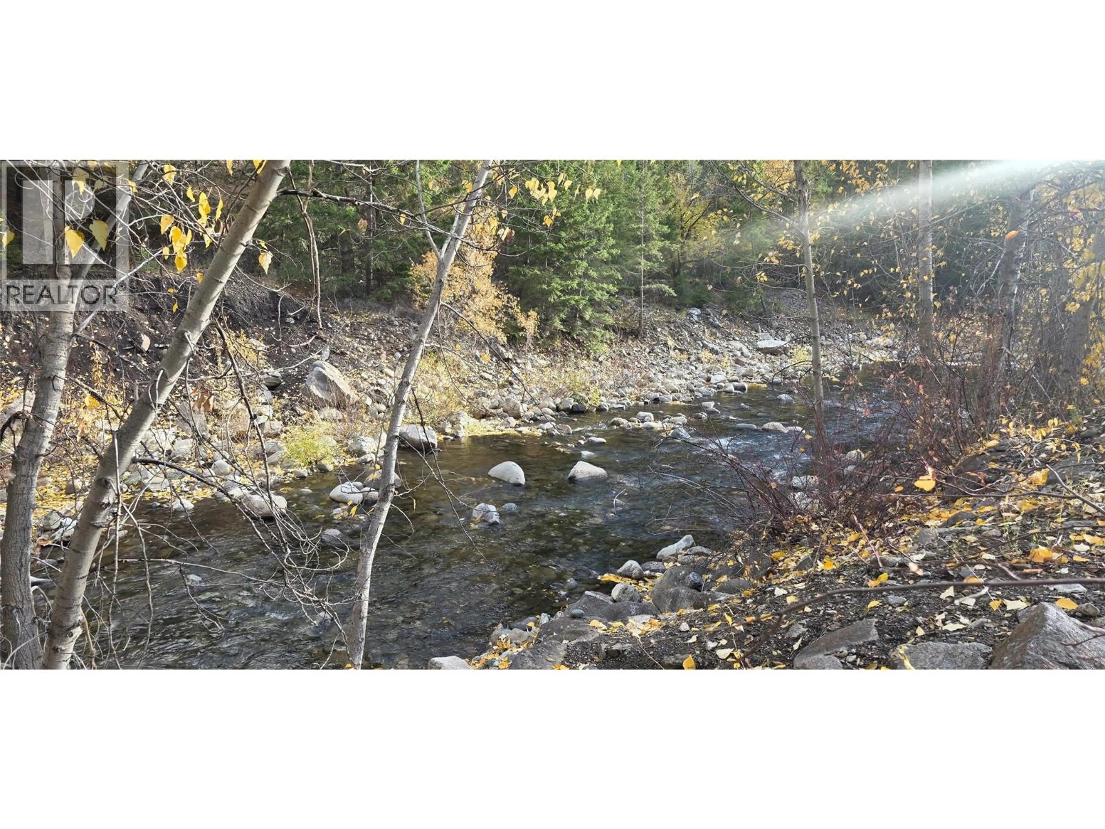 Property at 853 CAWSTON AVENUE, Hedley, BC