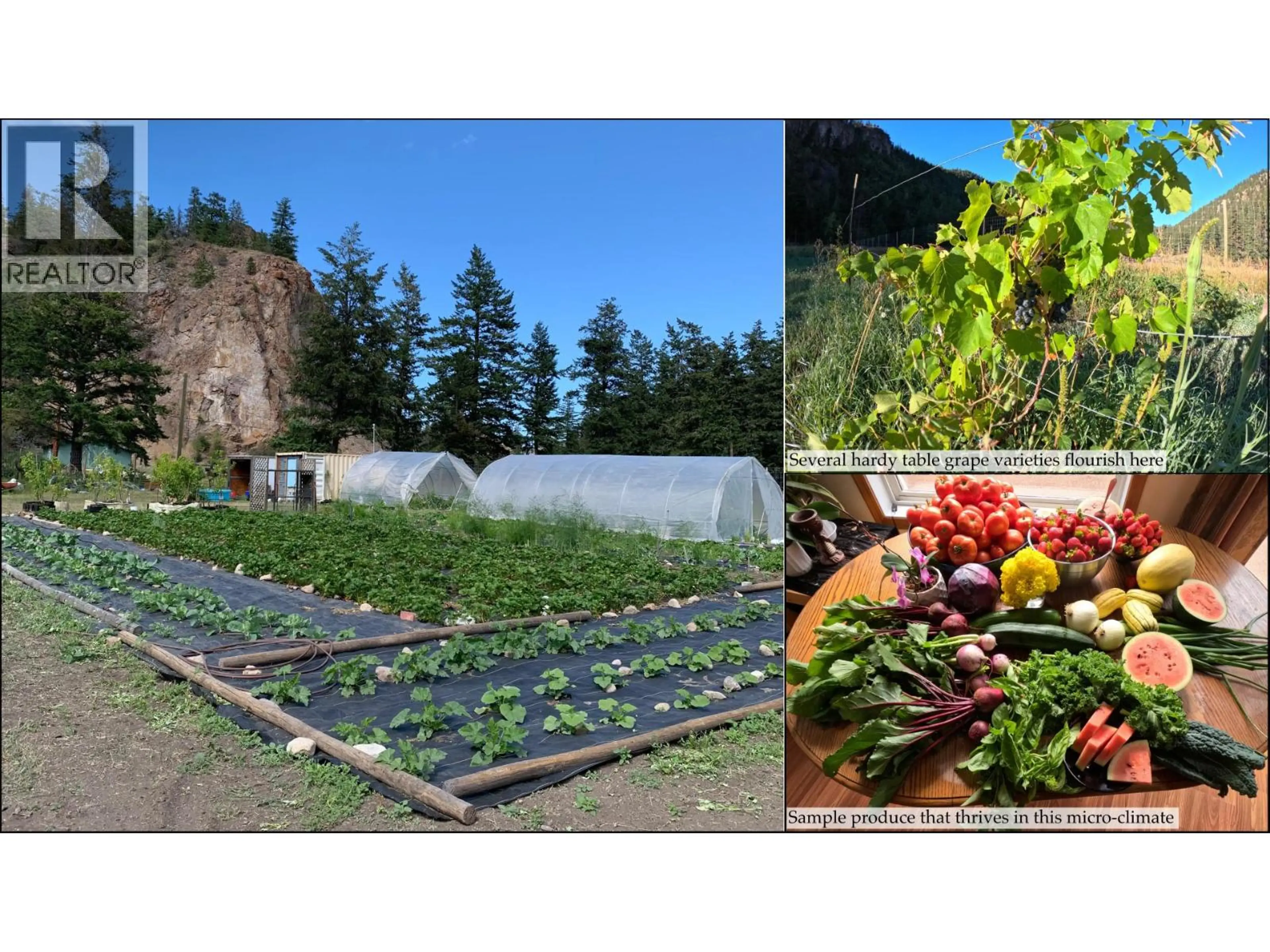 Property at 1618 WHITE LAKE ROAD, Kaleden, BC