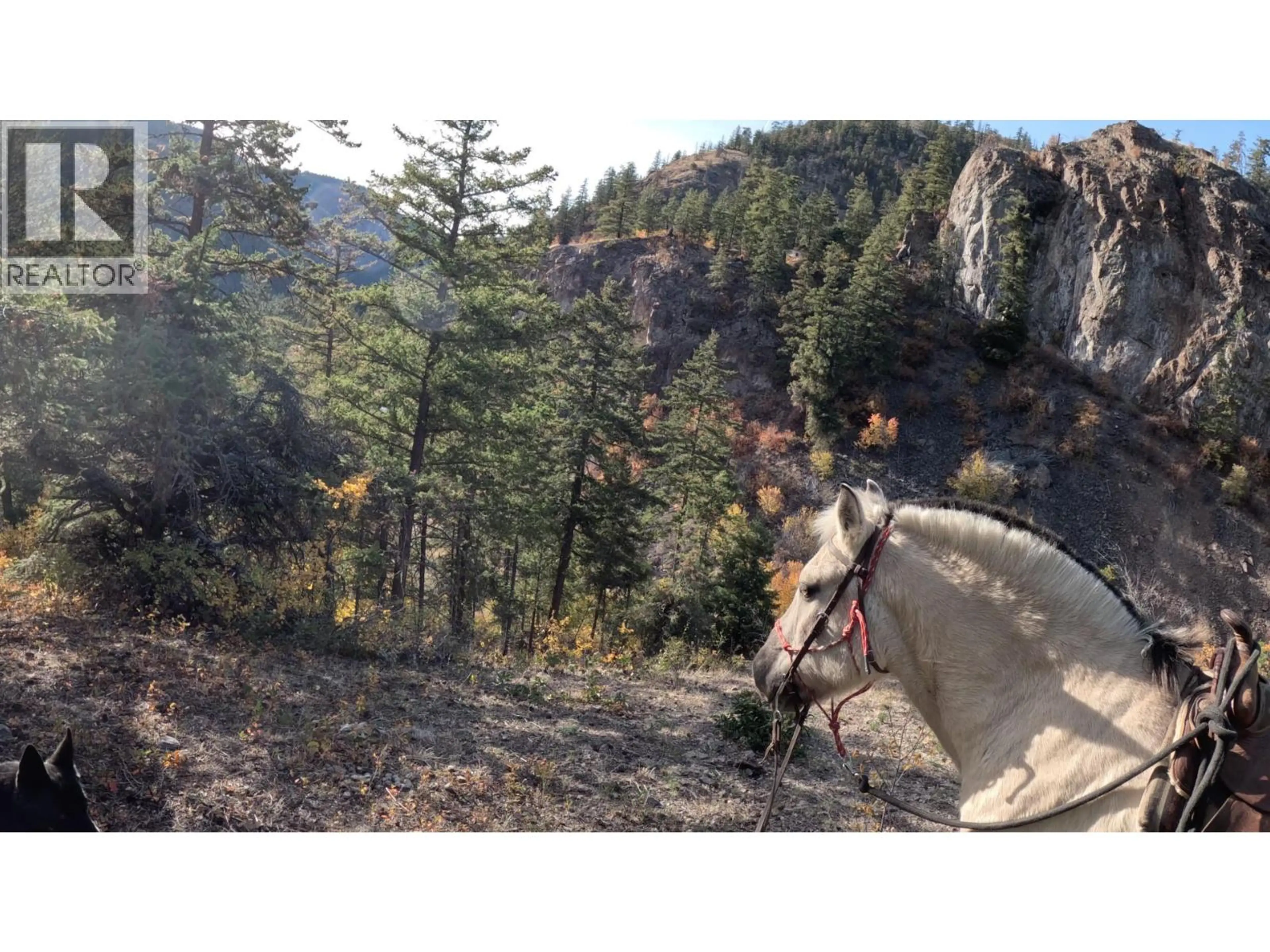 Property at 1618 WHITE LAKE ROAD, Kaleden, BC