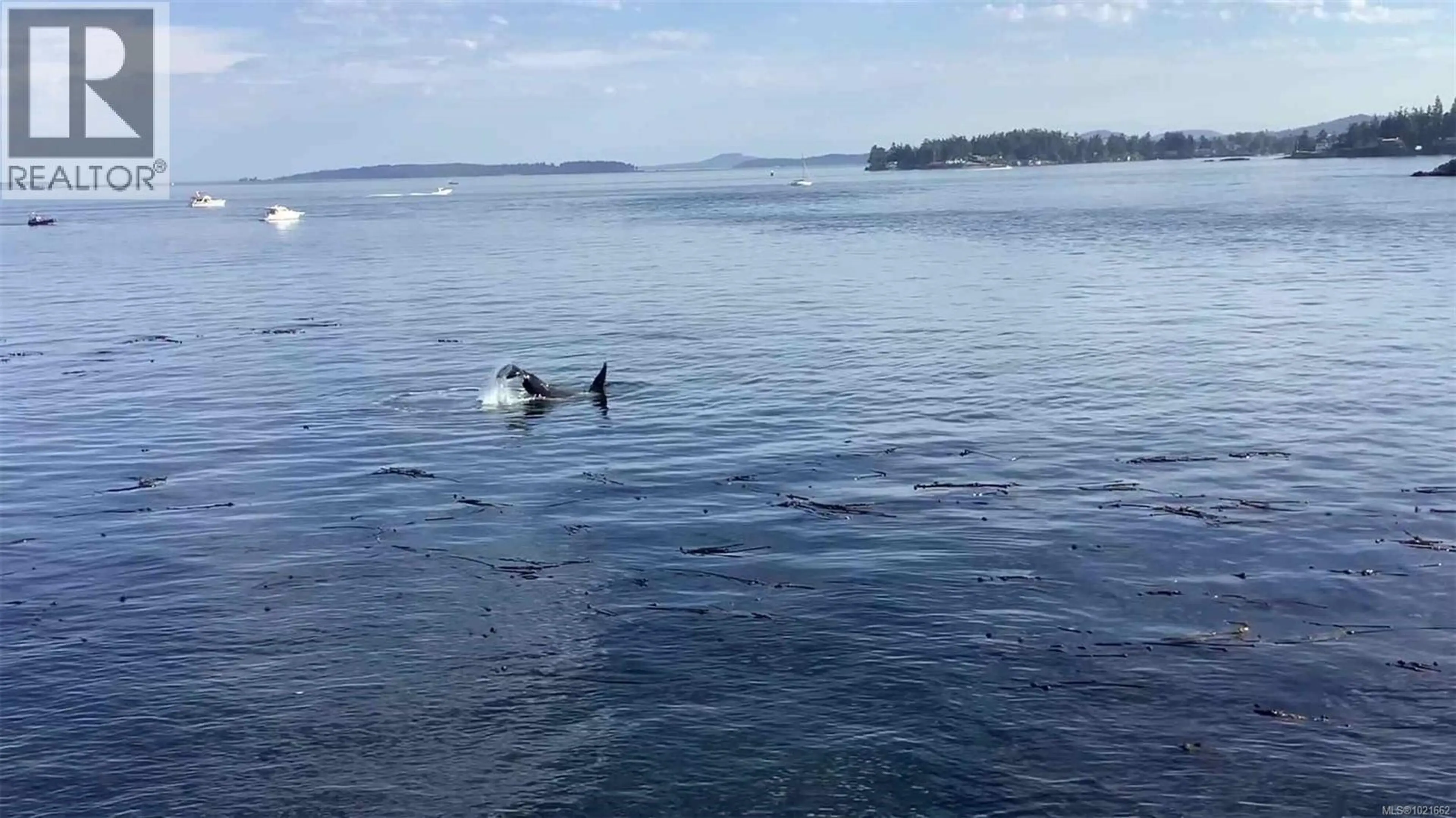 Property at 0 FERNIE ISLAND, Gulf Islands, BC