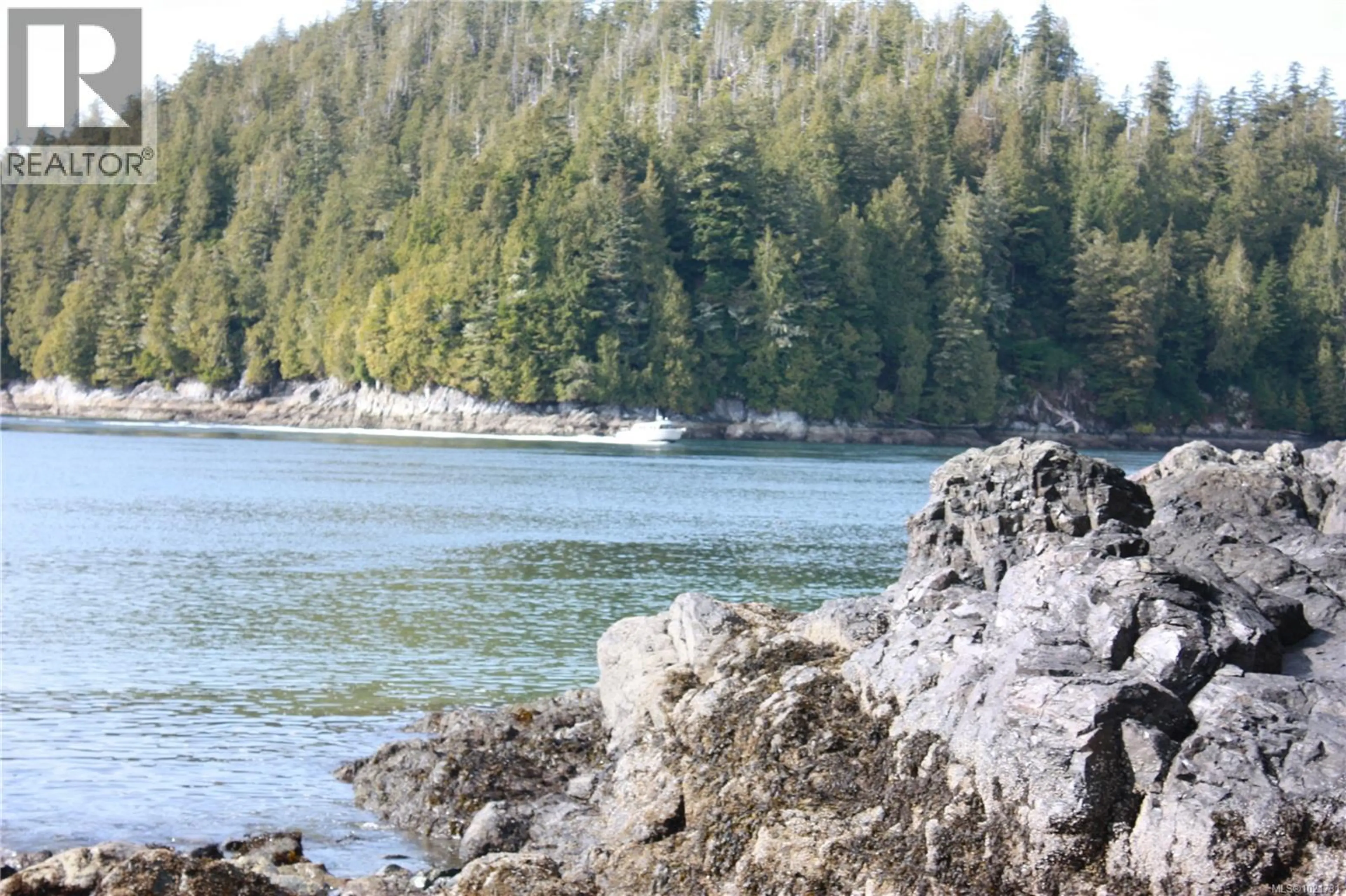 Property at 200 CAMPBELL ST, Tofino, BC