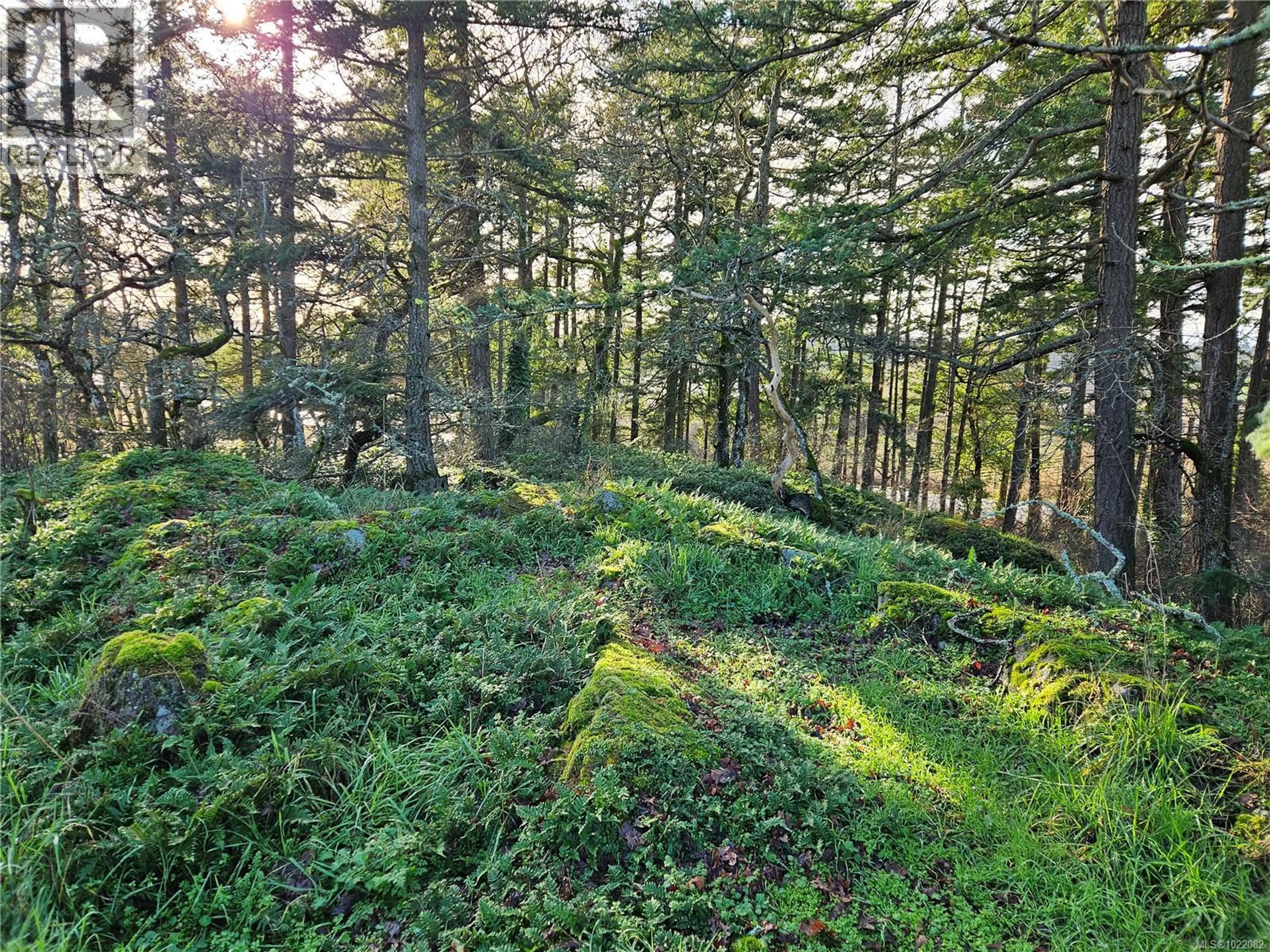 Property at 4299 BLENKINSOP RD, Saanich, BC