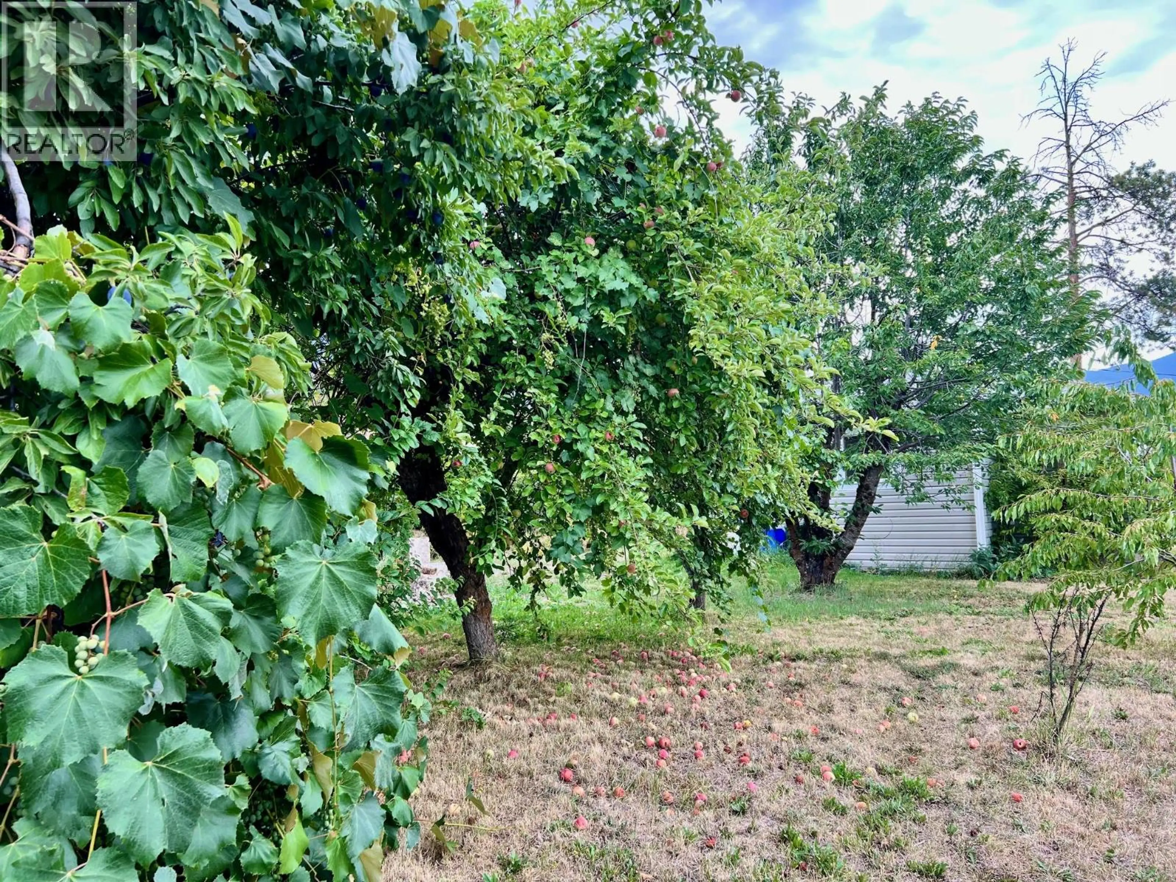 Property at 141 15TH AVENUE N, Creston, BC