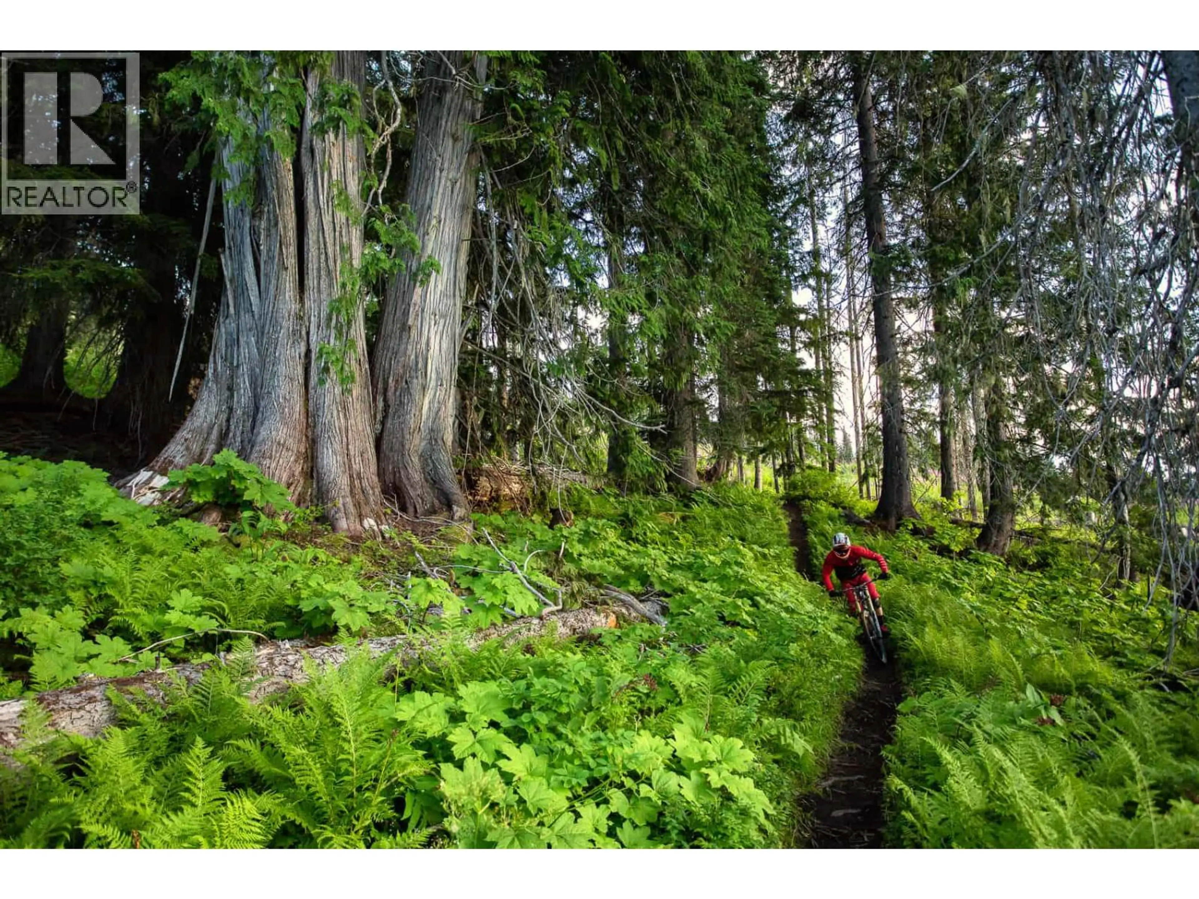 Property at 3111/3211 1240 POWERHOUSE ROAD, Revelstoke, BC