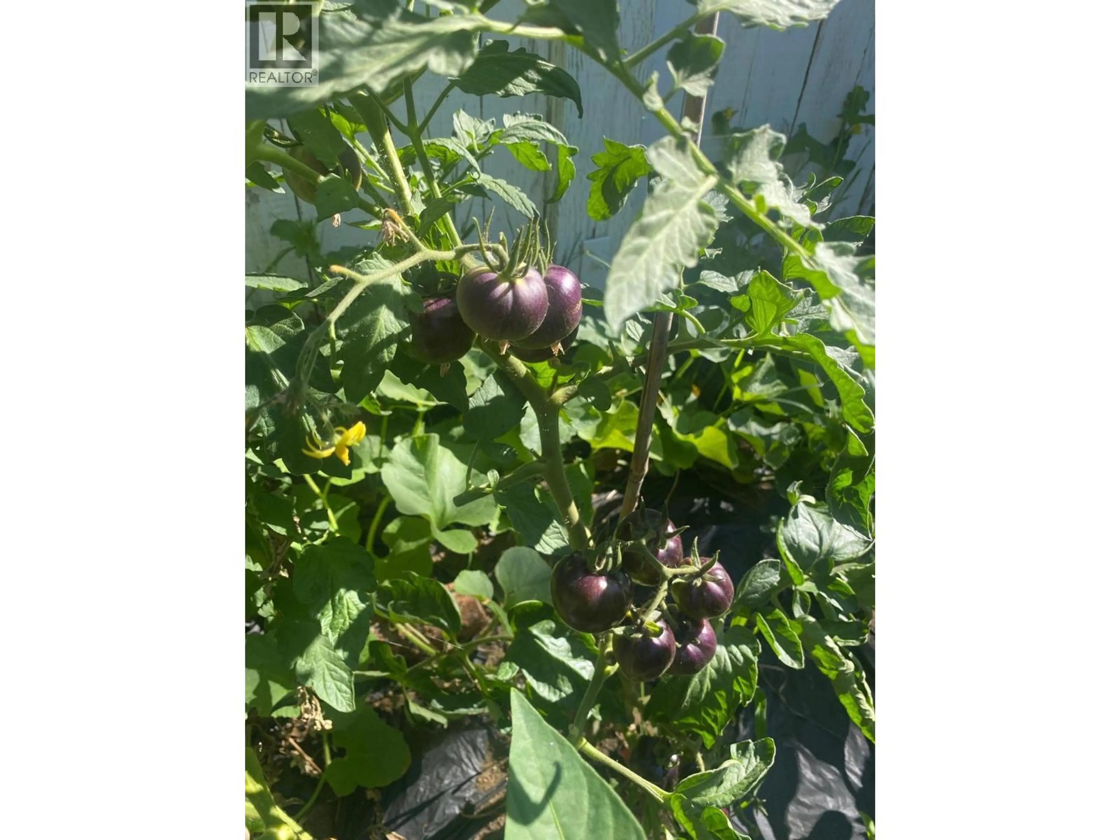 Property at #31 3245 PARIS STREET, Penticton, BC