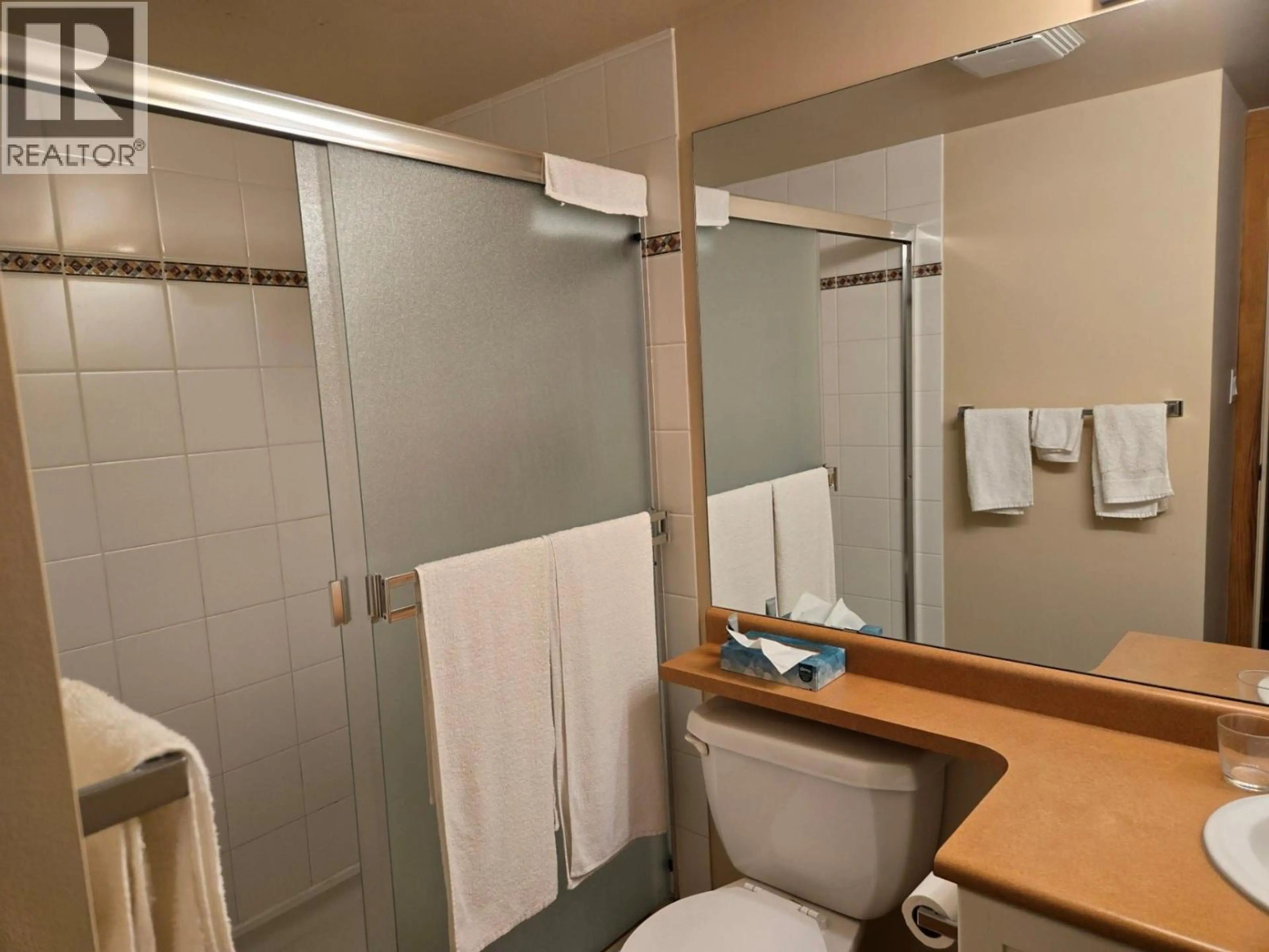 Property at #114 2060 SUMMIT DRIVE, Panorama, BC