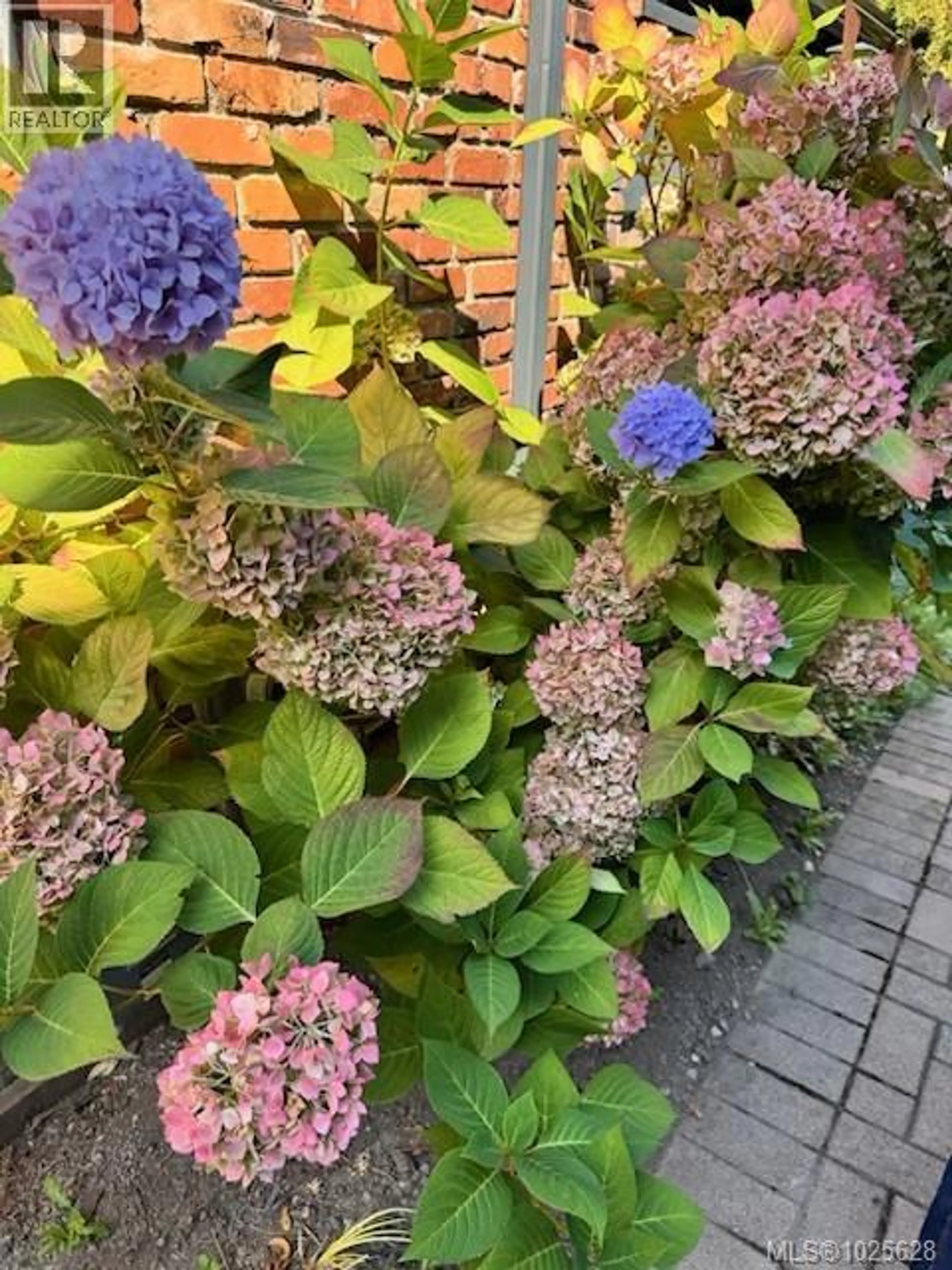 Property at 111 MICHIGAN ST, Victoria, BC