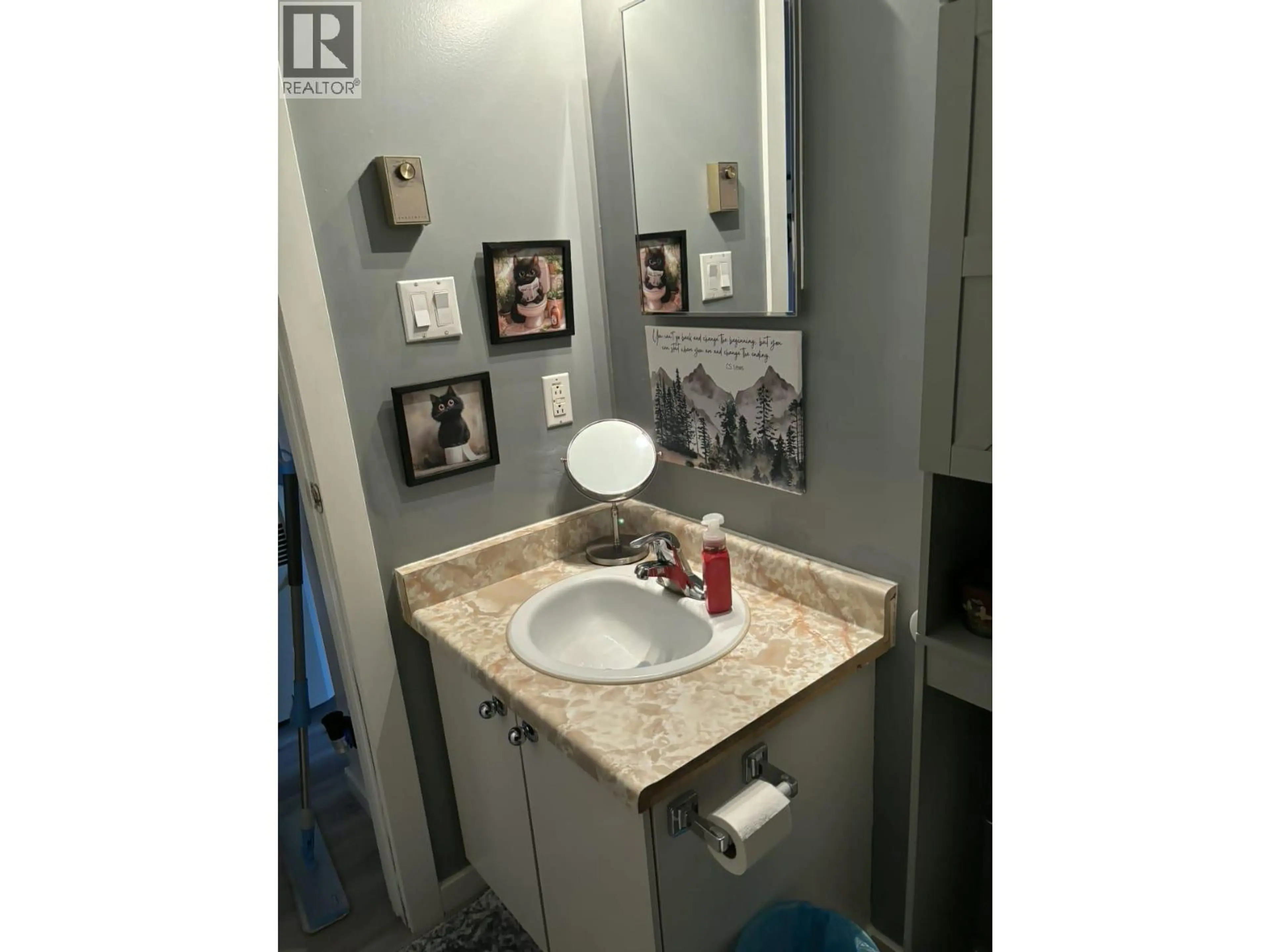 Property at 224 SPIEKER AVENUE, Tumbler Ridge, BC