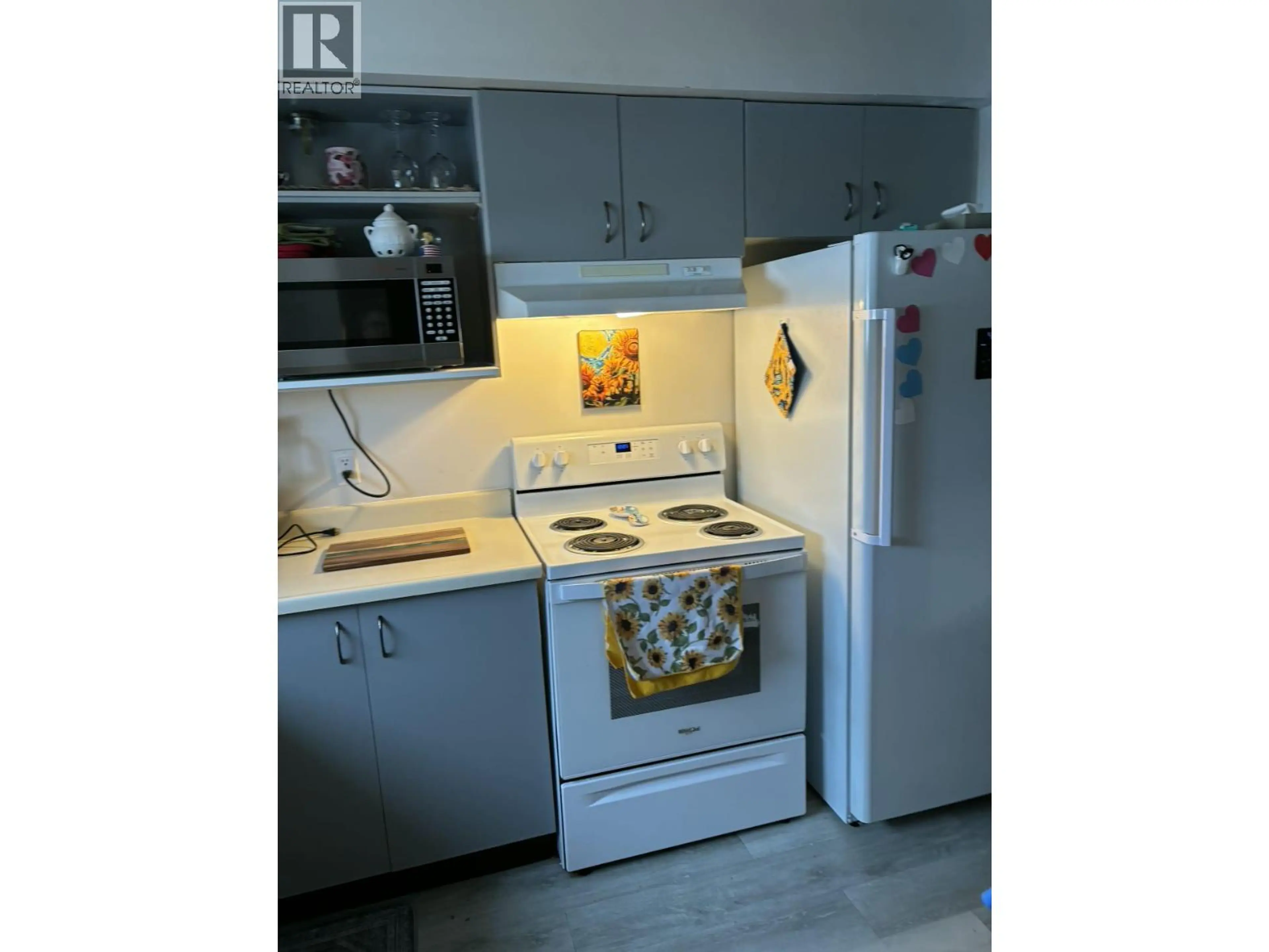 Property at 224 SPIEKER AVENUE, Tumbler Ridge, BC