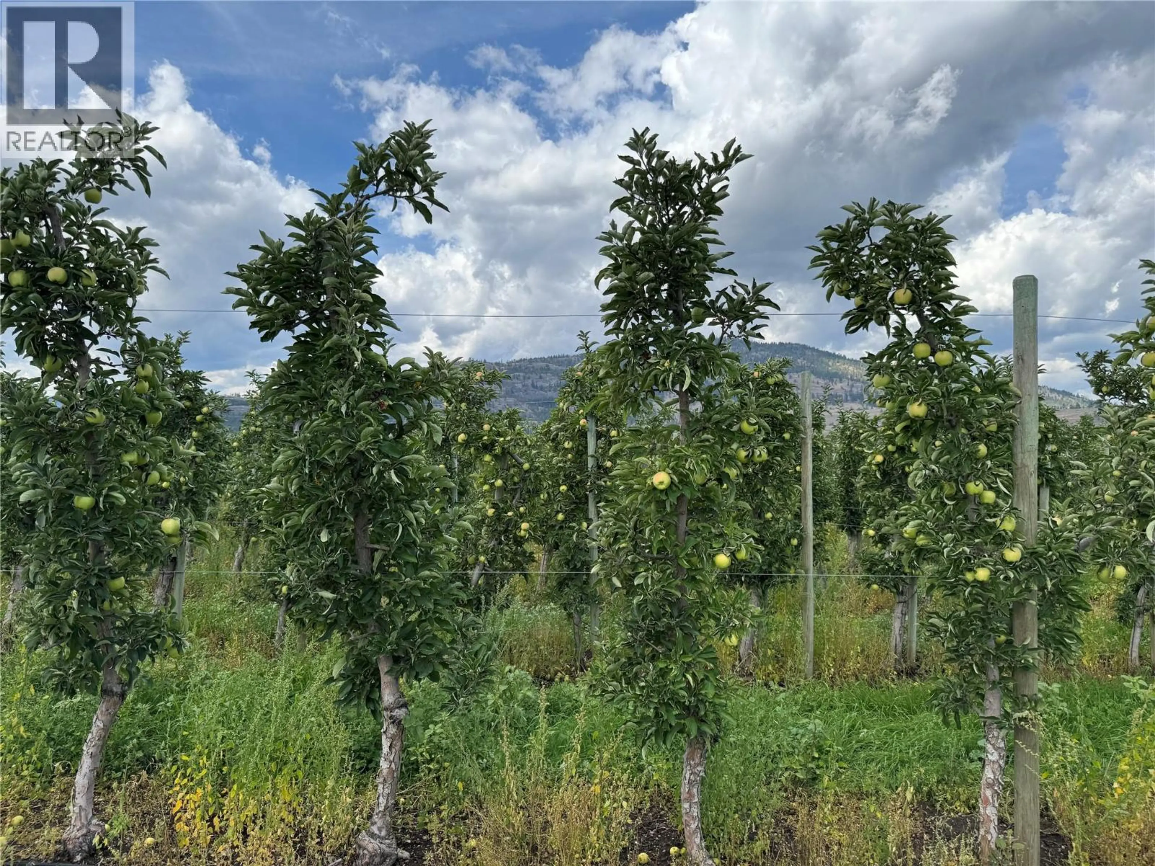 Property at 15812 LOGIE ROAD, Summerland, BC