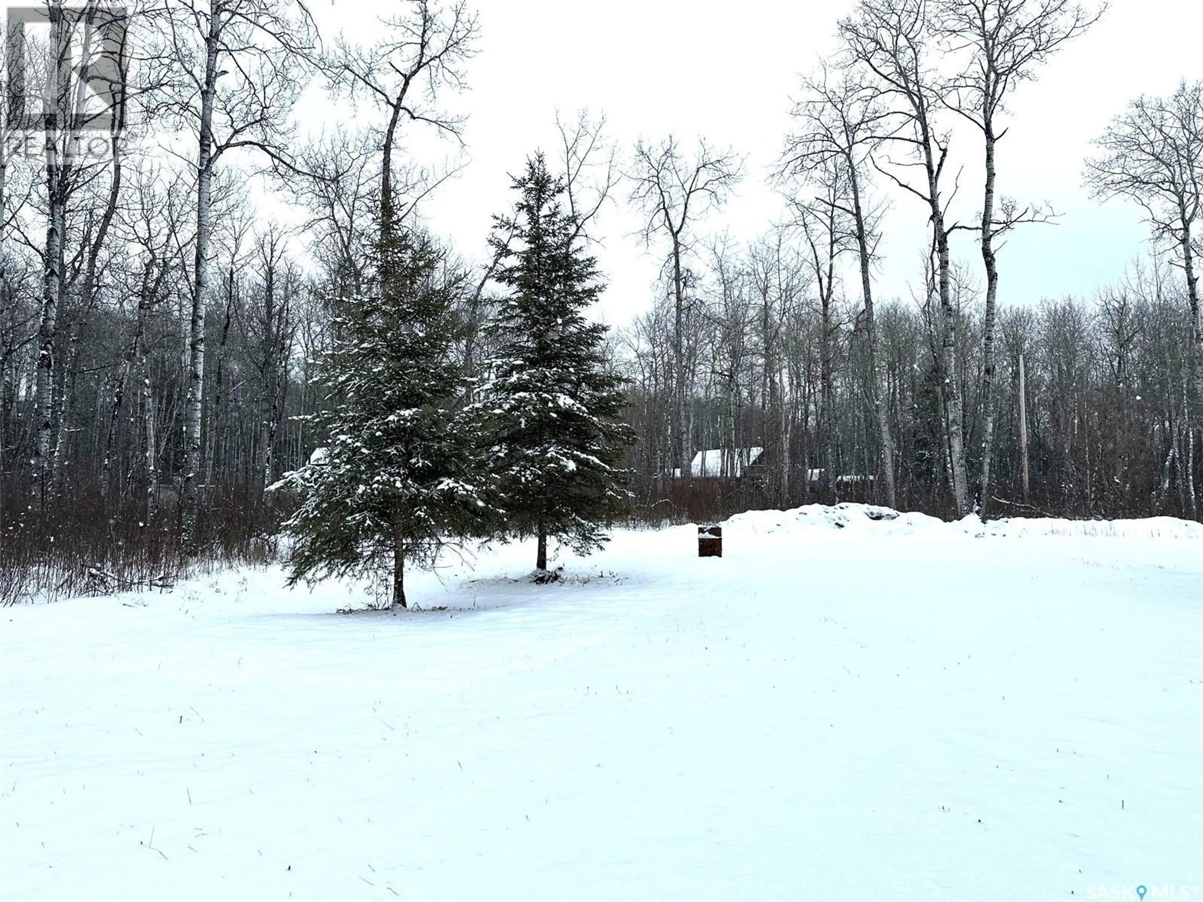 Property at 35 PORCUPINE DRIVE, Hudson Bay Rm No. 394, SK