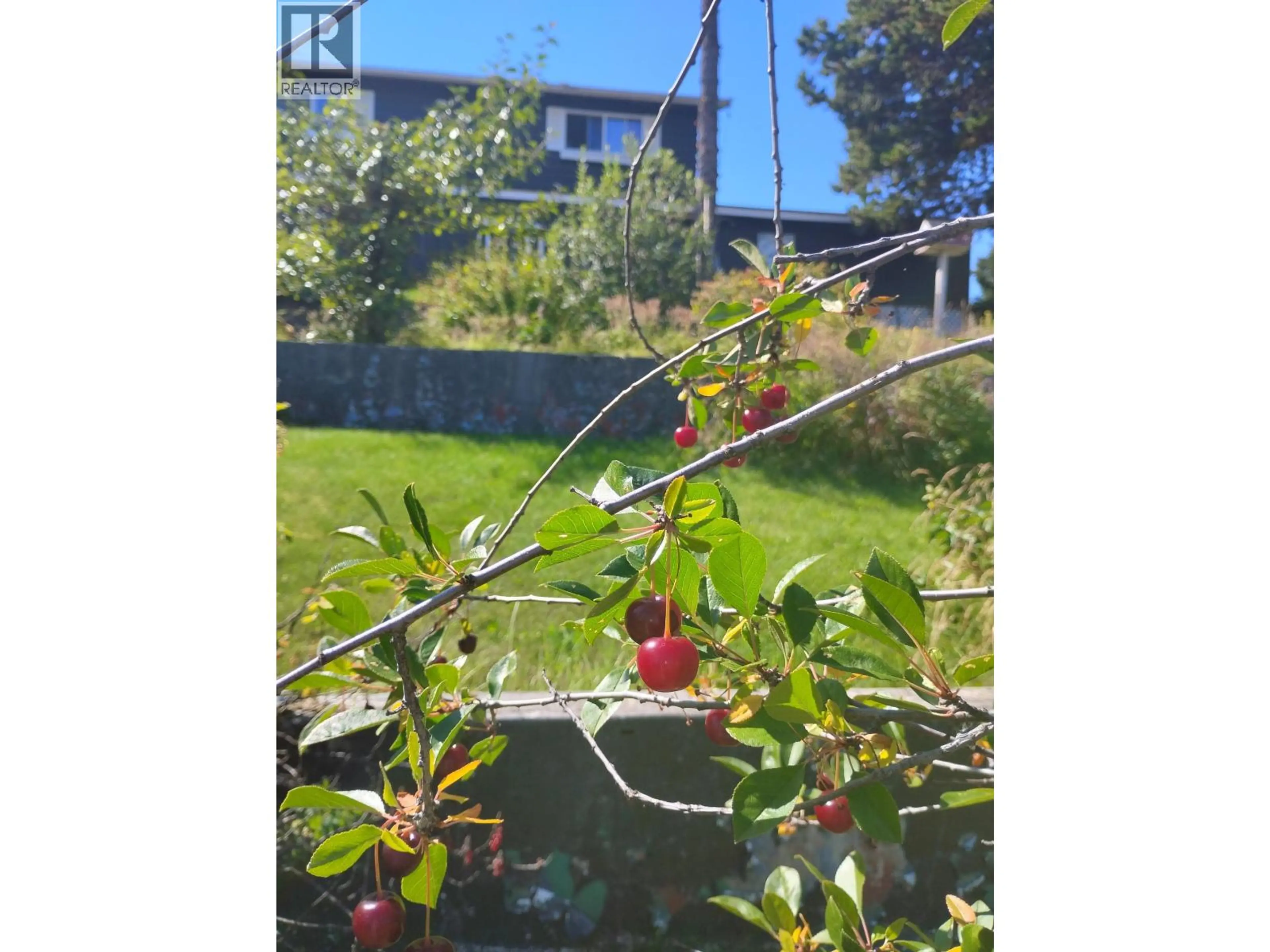 Property at 20 REGAN STREET, Granisle, BC