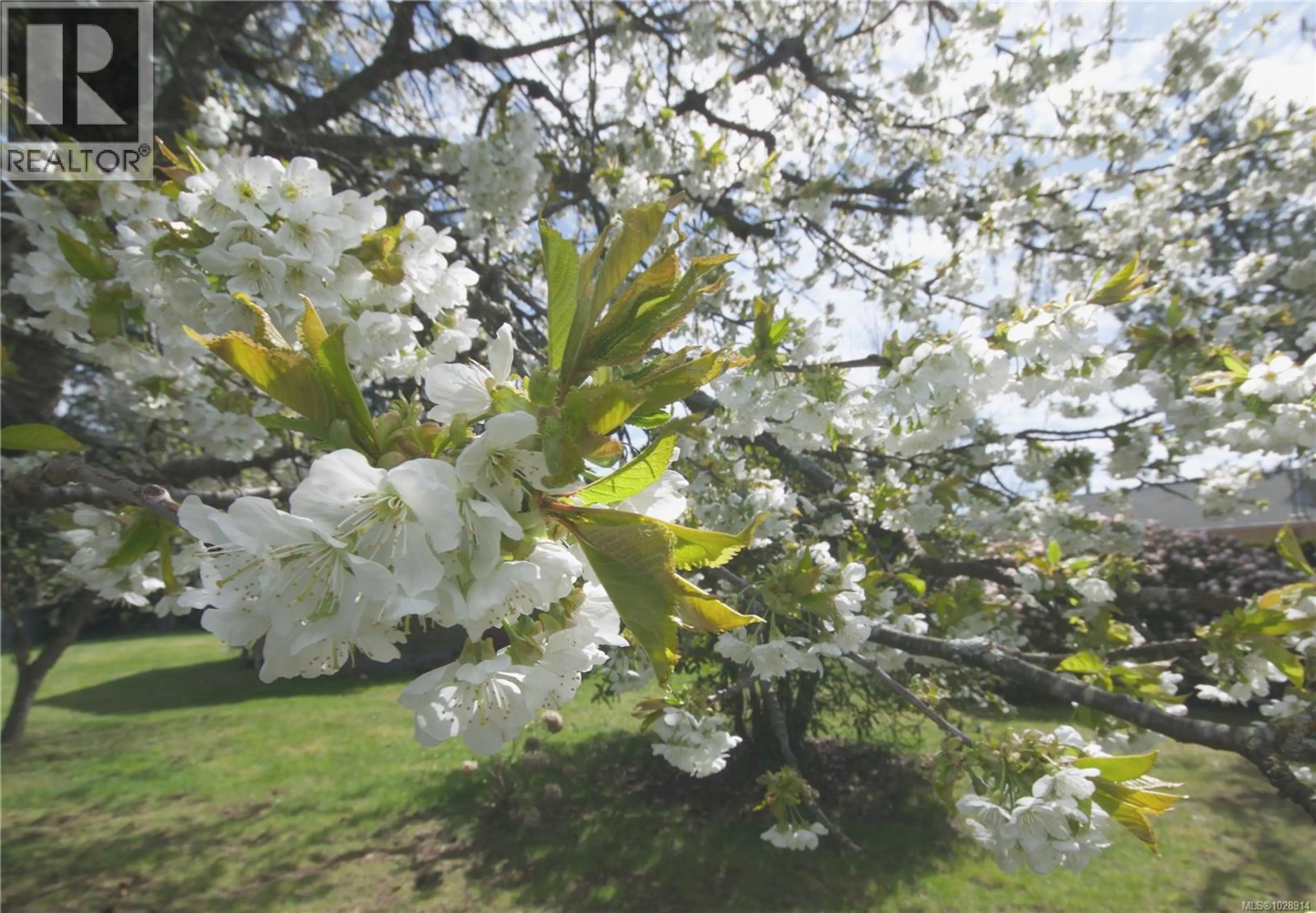 Property at 603 JOHNSTONE RD, Parksville, BC