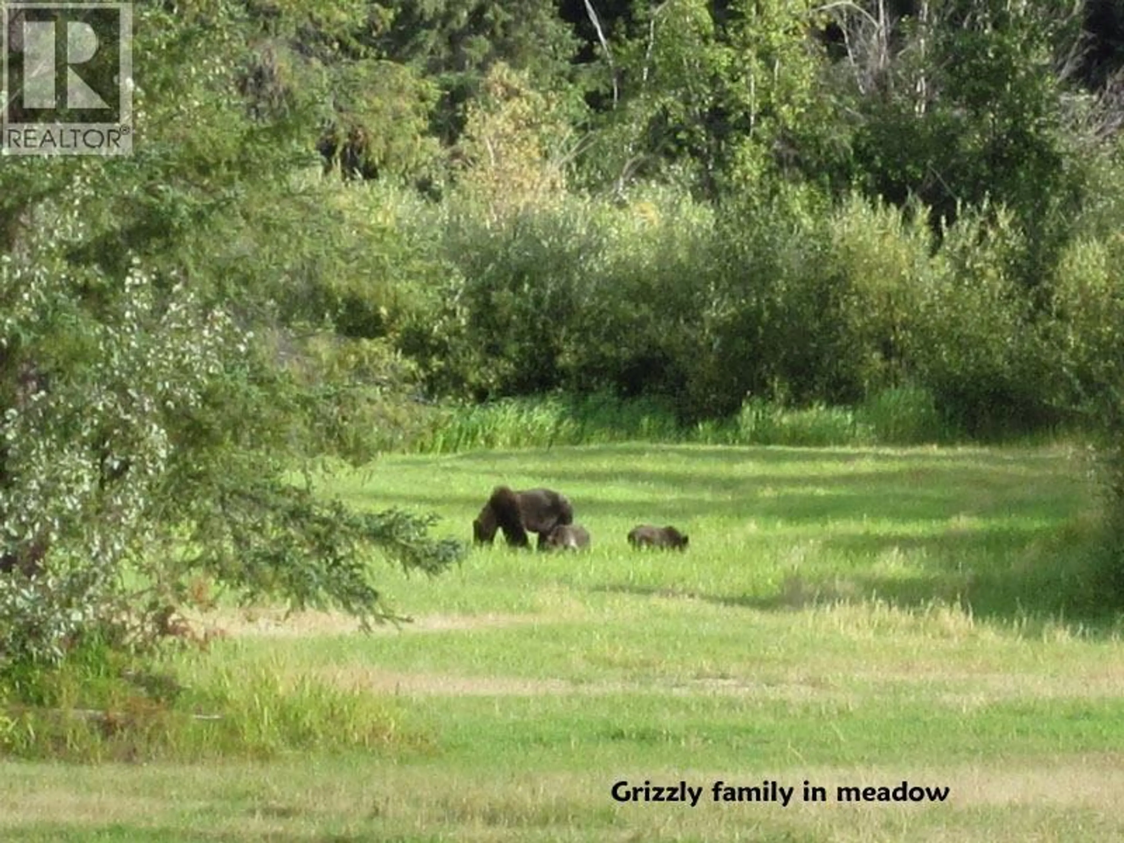 Property at 9000 TOTE ROAD, Hagensborg, BC