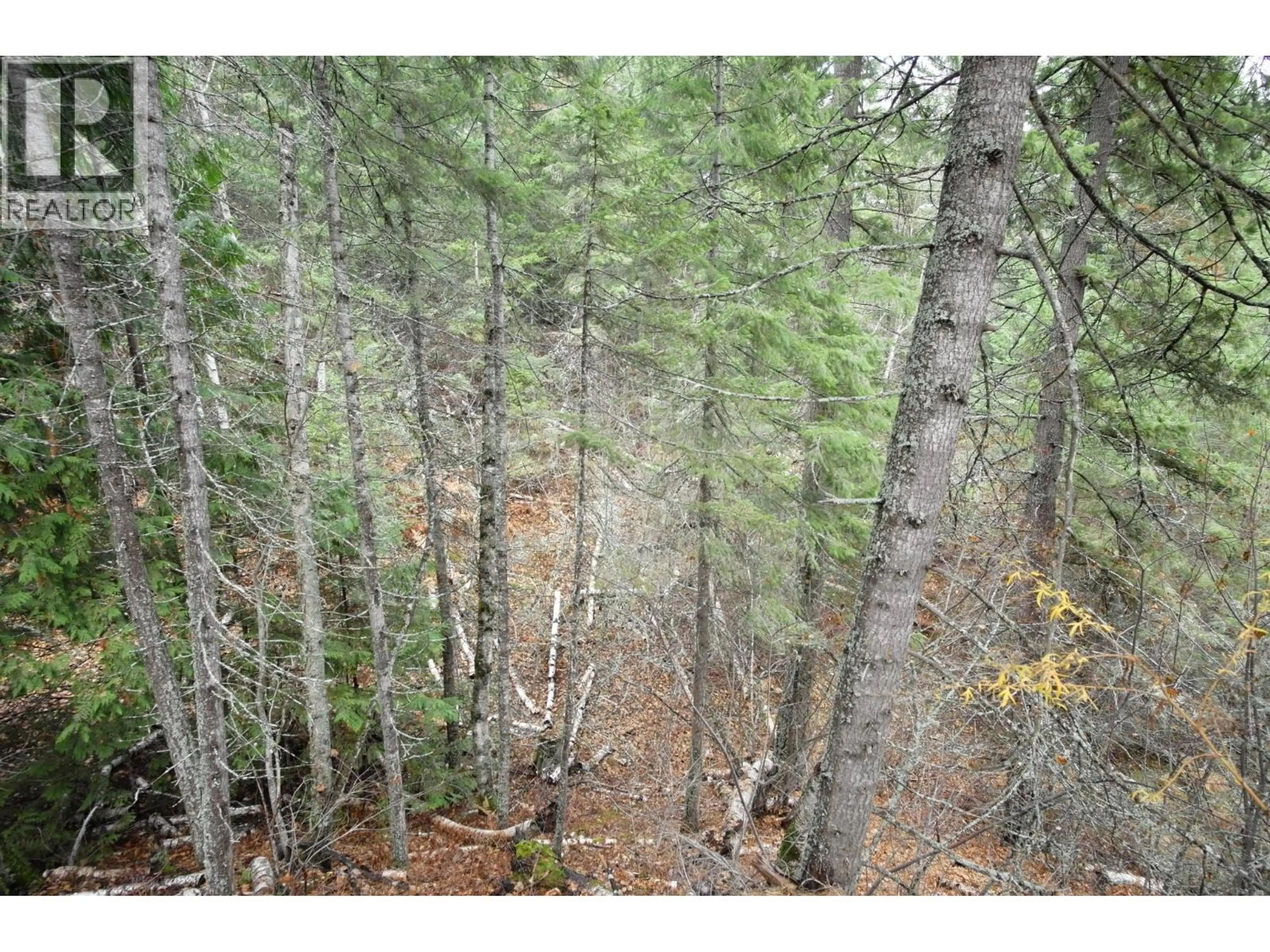 Property at 408 GRANDVIEW BENCH ROAD, Grindrod, BC