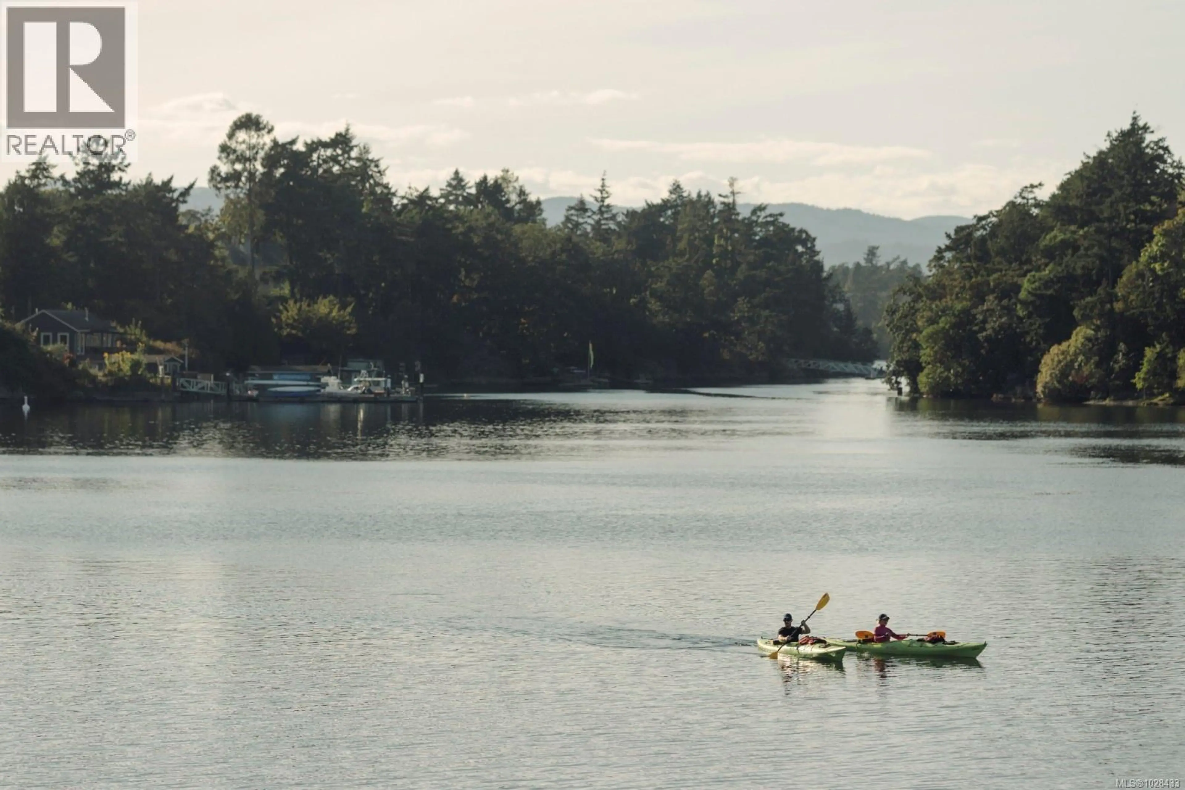 Property at 317 EDWARD ST, Victoria, BC