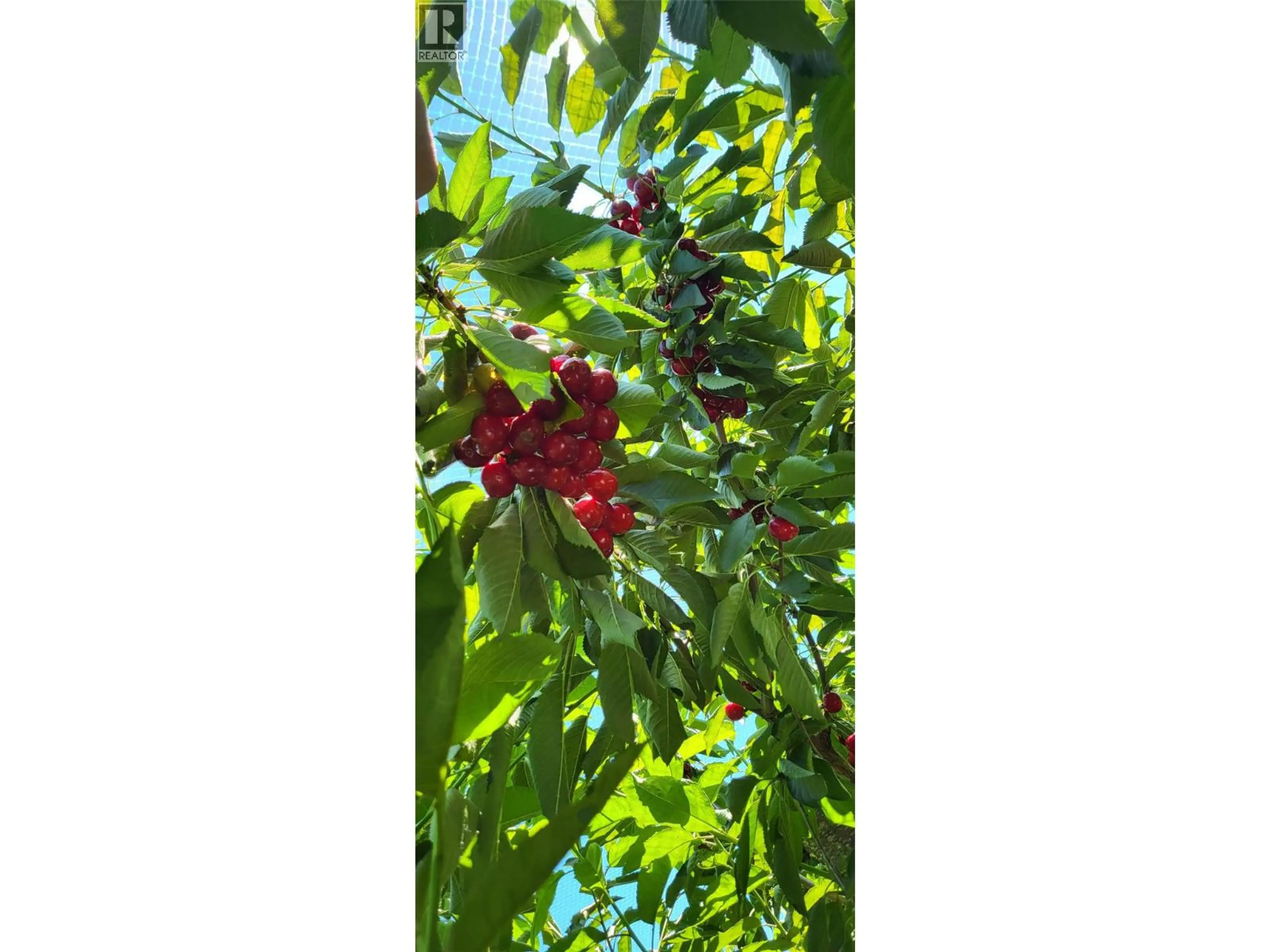 Property at 32 PRESTON CRESCENT, Enderby, BC