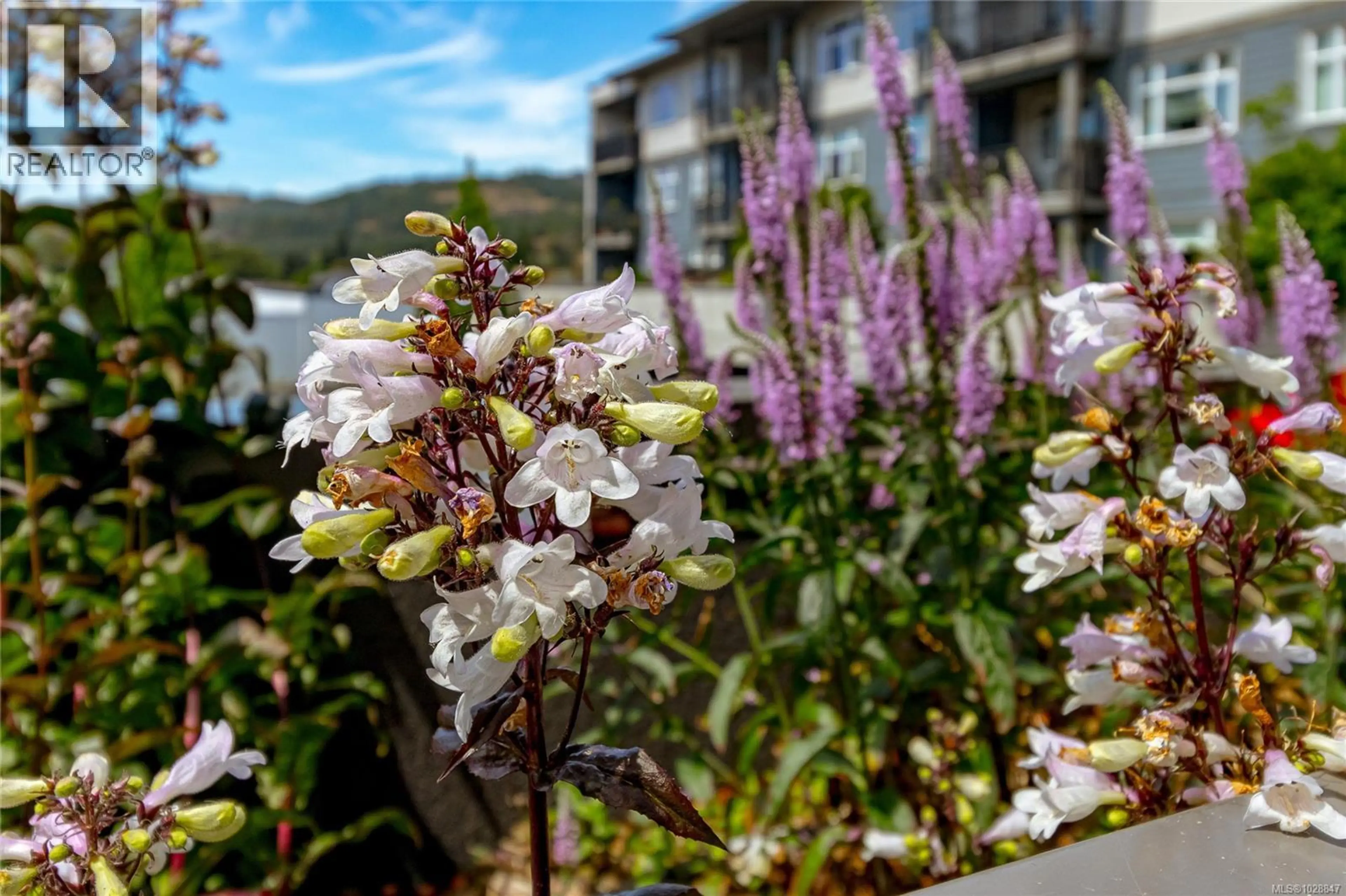 Property at #203 2655 SOOKE RD, Langford, BC