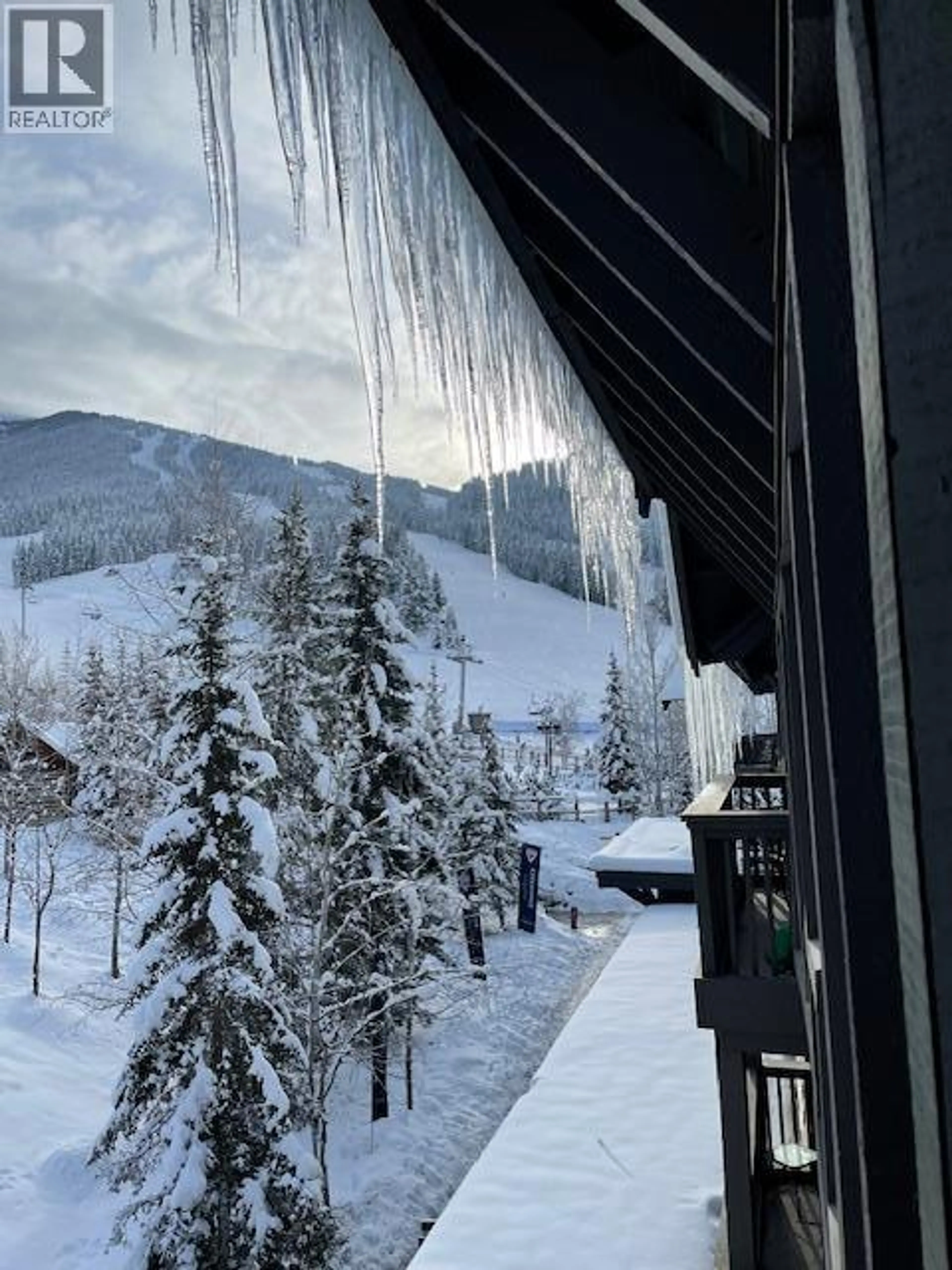 Property at #411 2060 SUMMIT DRIVE, Panorama, BC