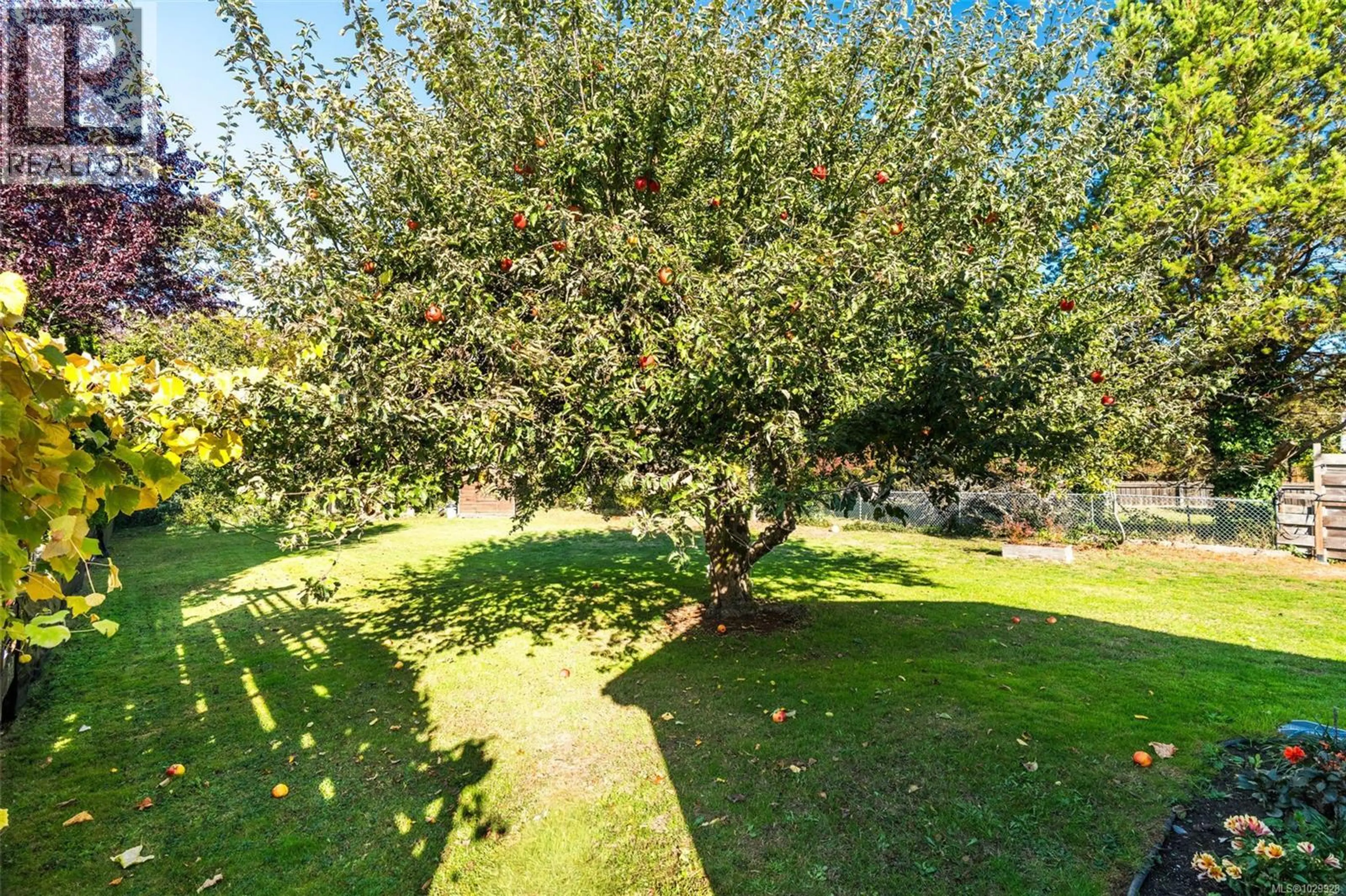 Property at 2926 COLQUITZ AVE, Saanich, BC