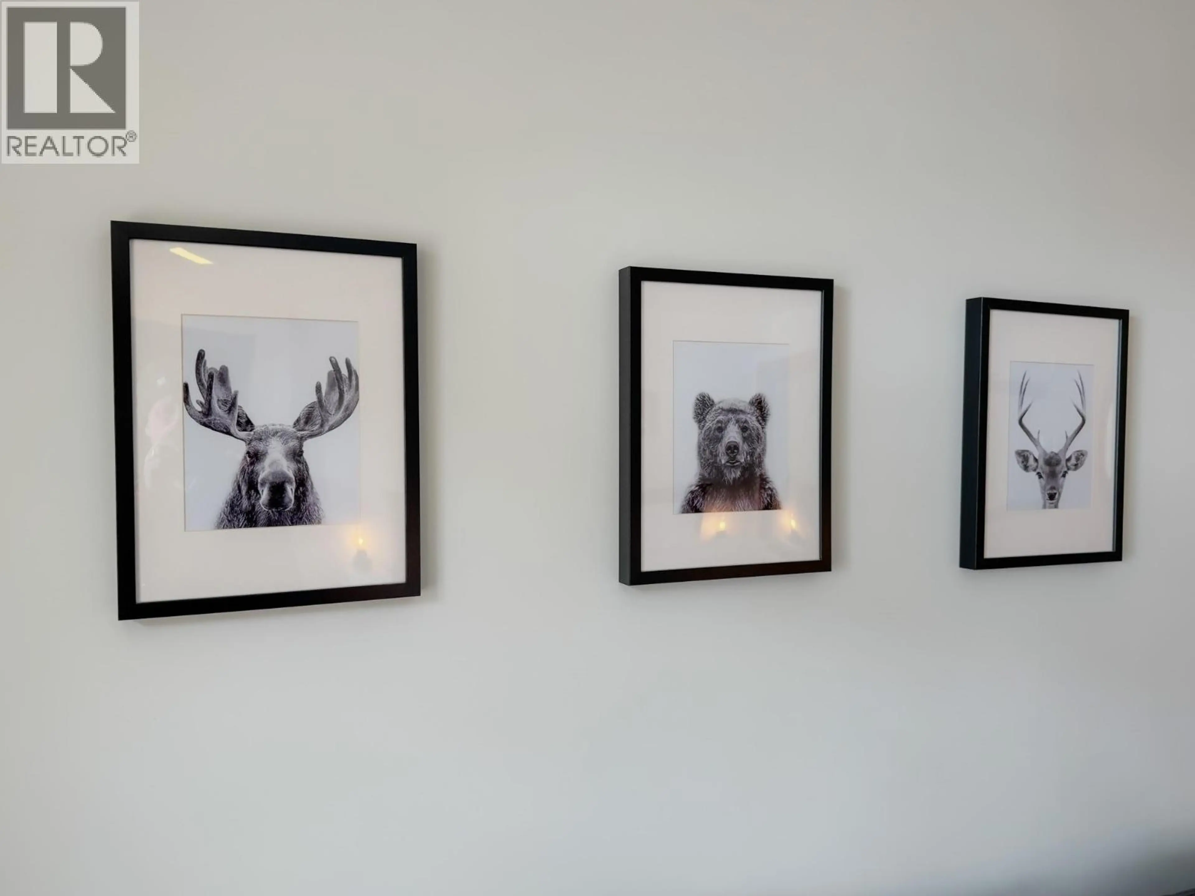 Property at #205 2050 SUMMIT DRIVE, Panorama, BC