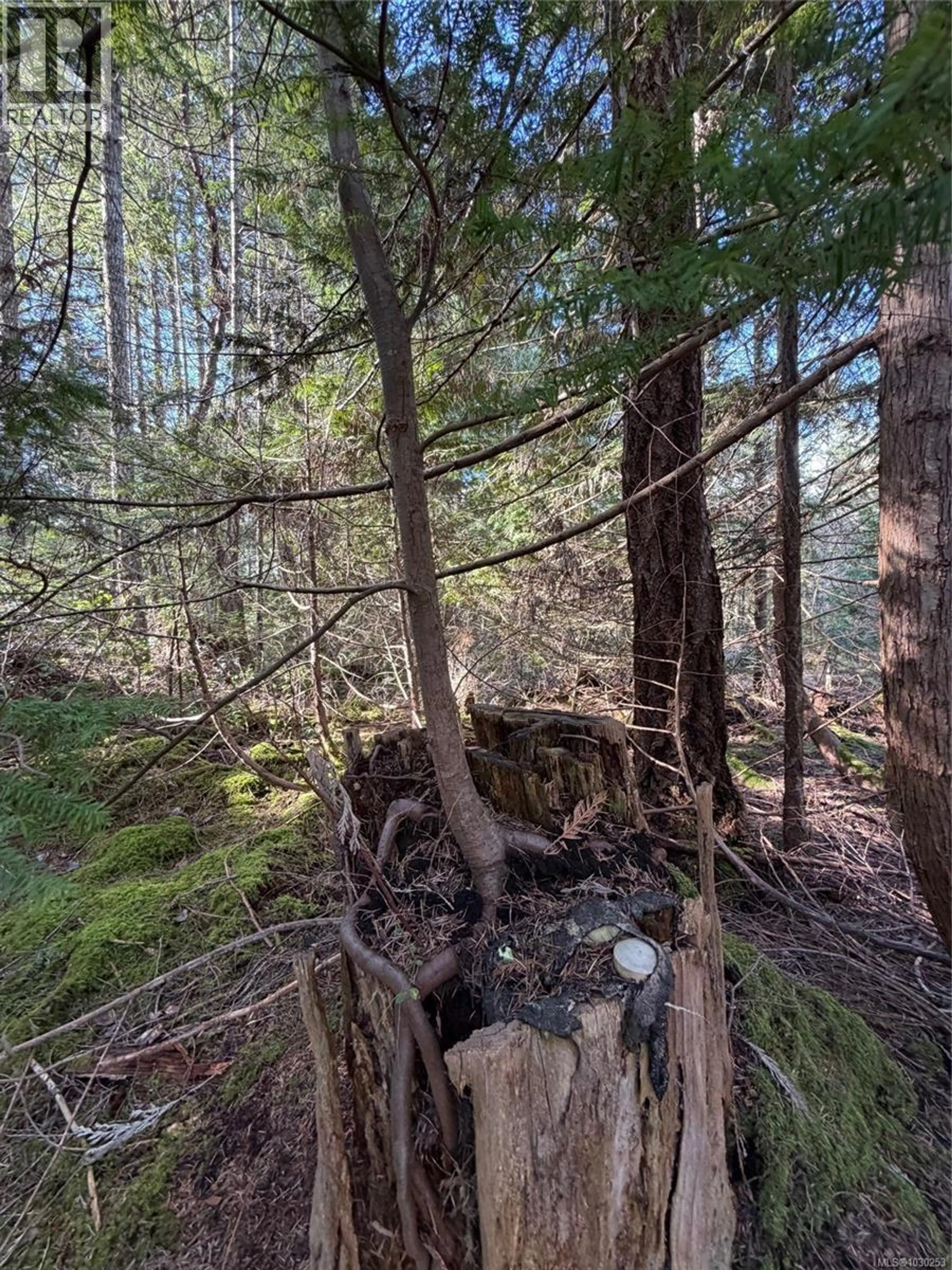 Property at 2359 KENDALL RD, Nanaimo, BC