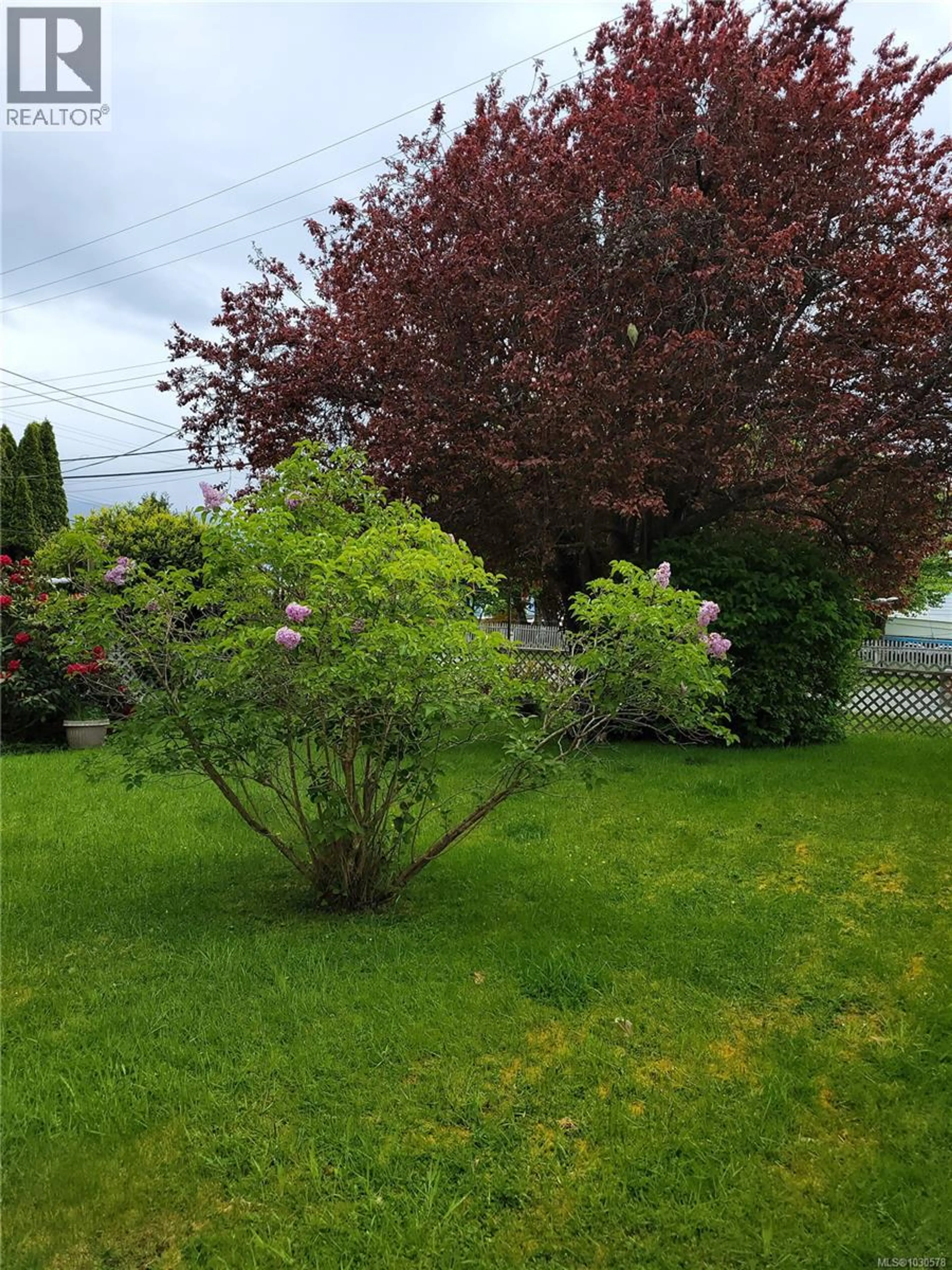 Property at 179 2ND ST, Sointula, BC