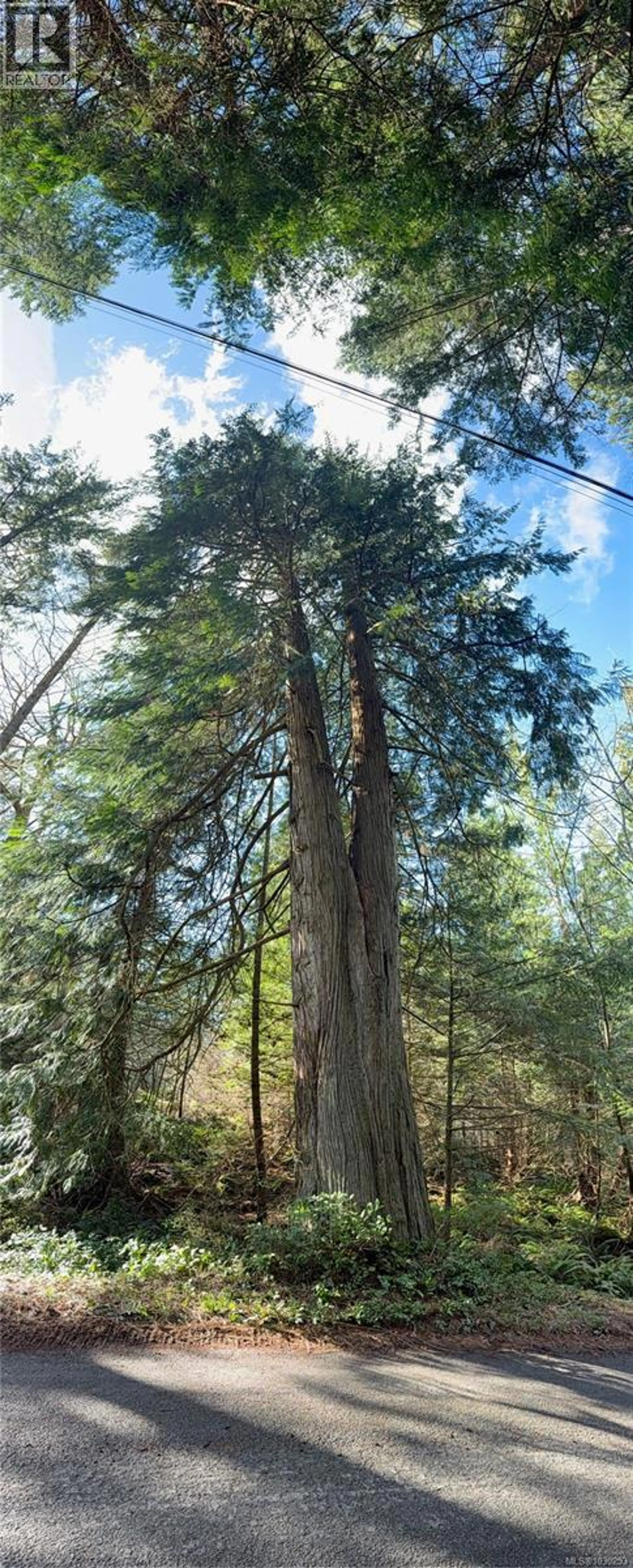 Property at 2359 KENDALL RD, Nanaimo, BC