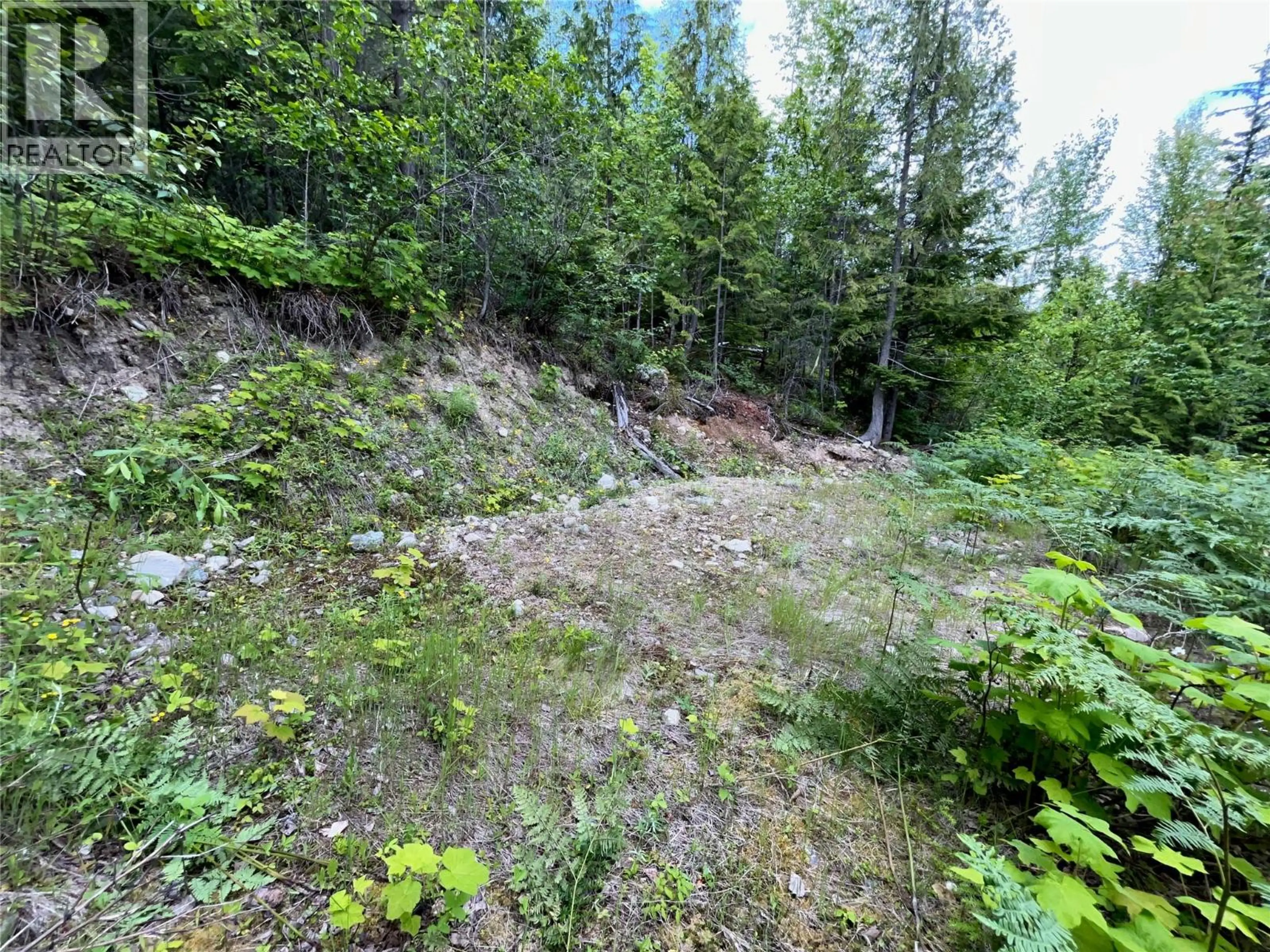Property at 20-9000 SEYMOUR MAIN LOT# 20, Seymour Arm, BC