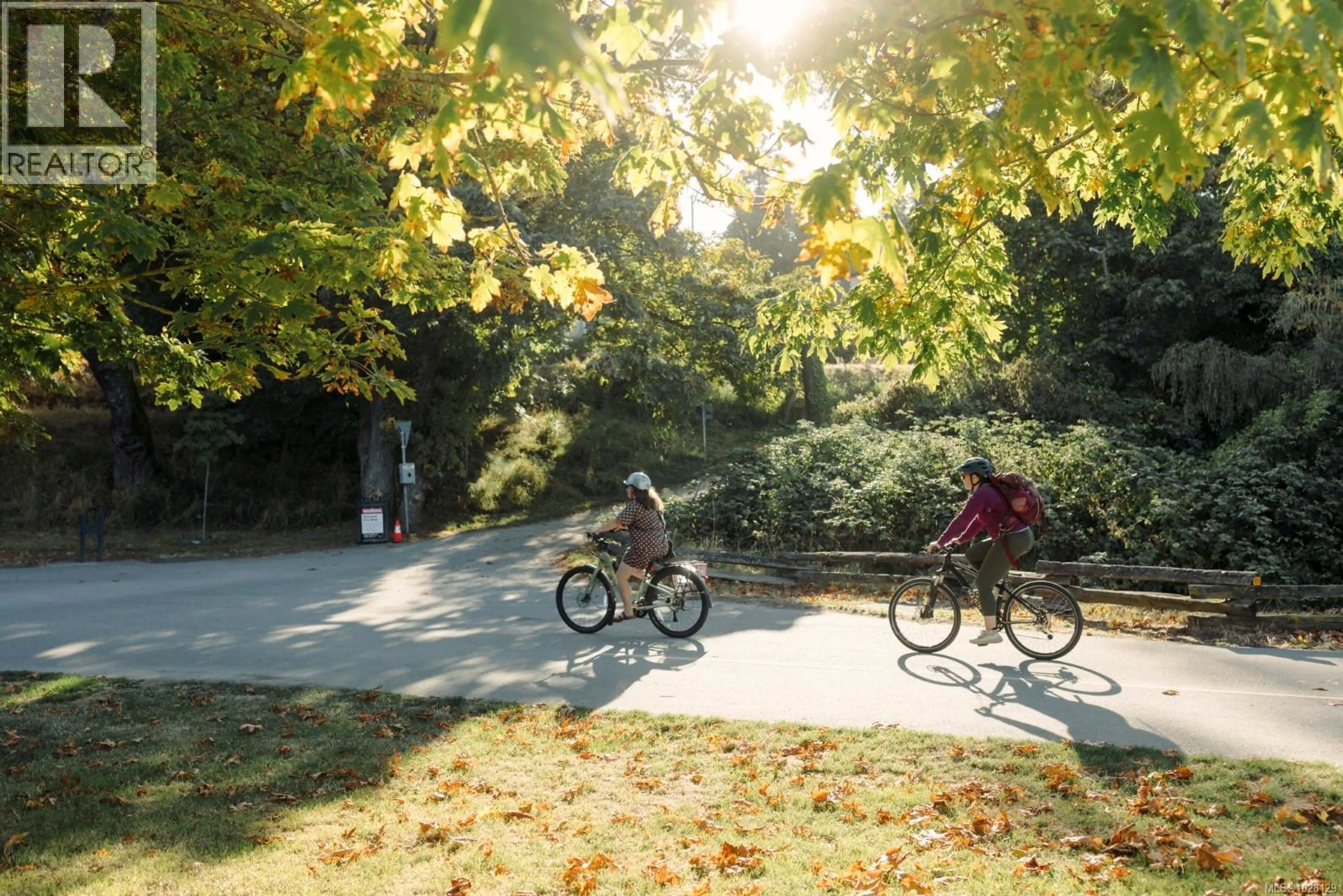 Property at 807 MARY ST, Victoria, BC