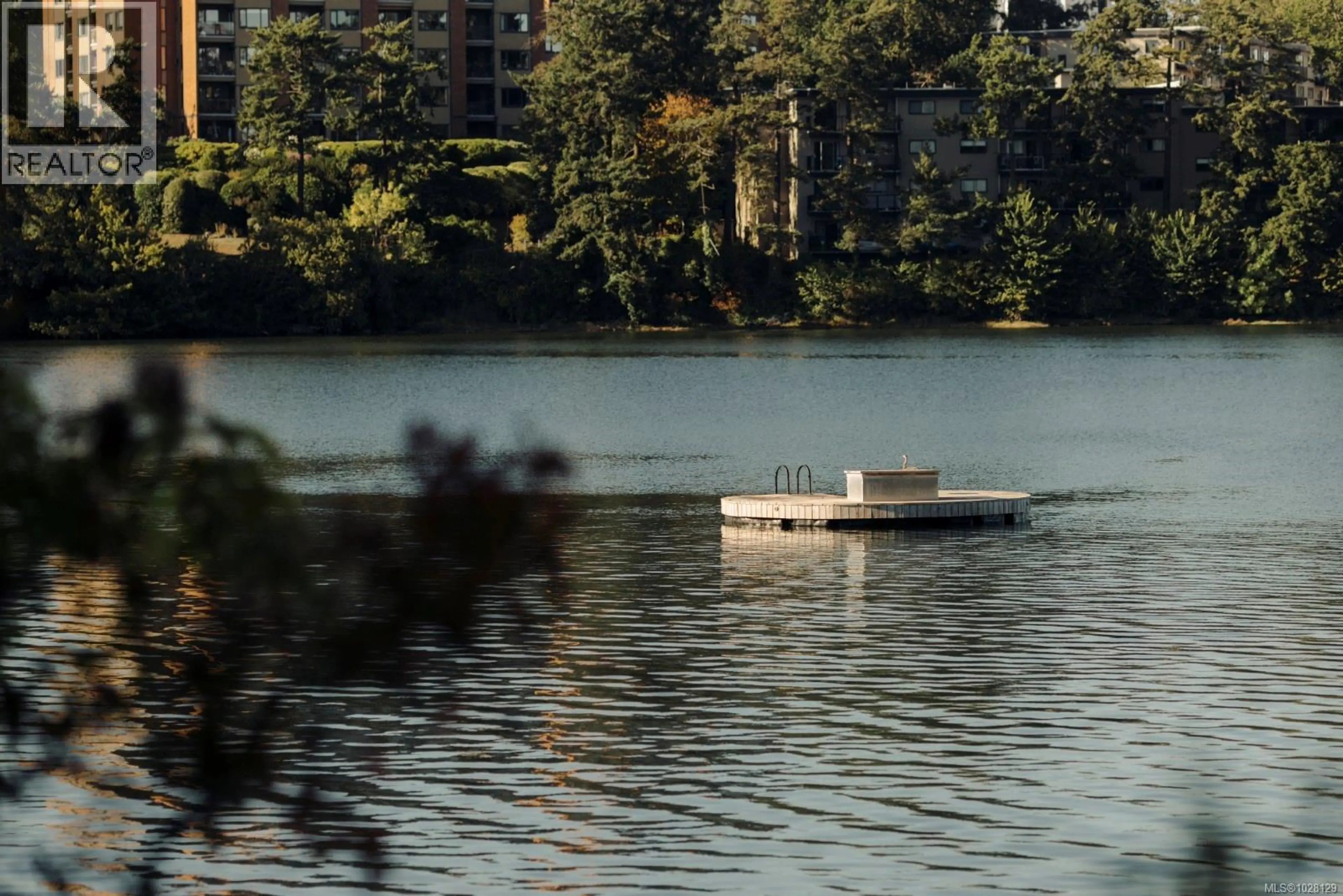 Property at 807 MARY ST, Victoria, BC