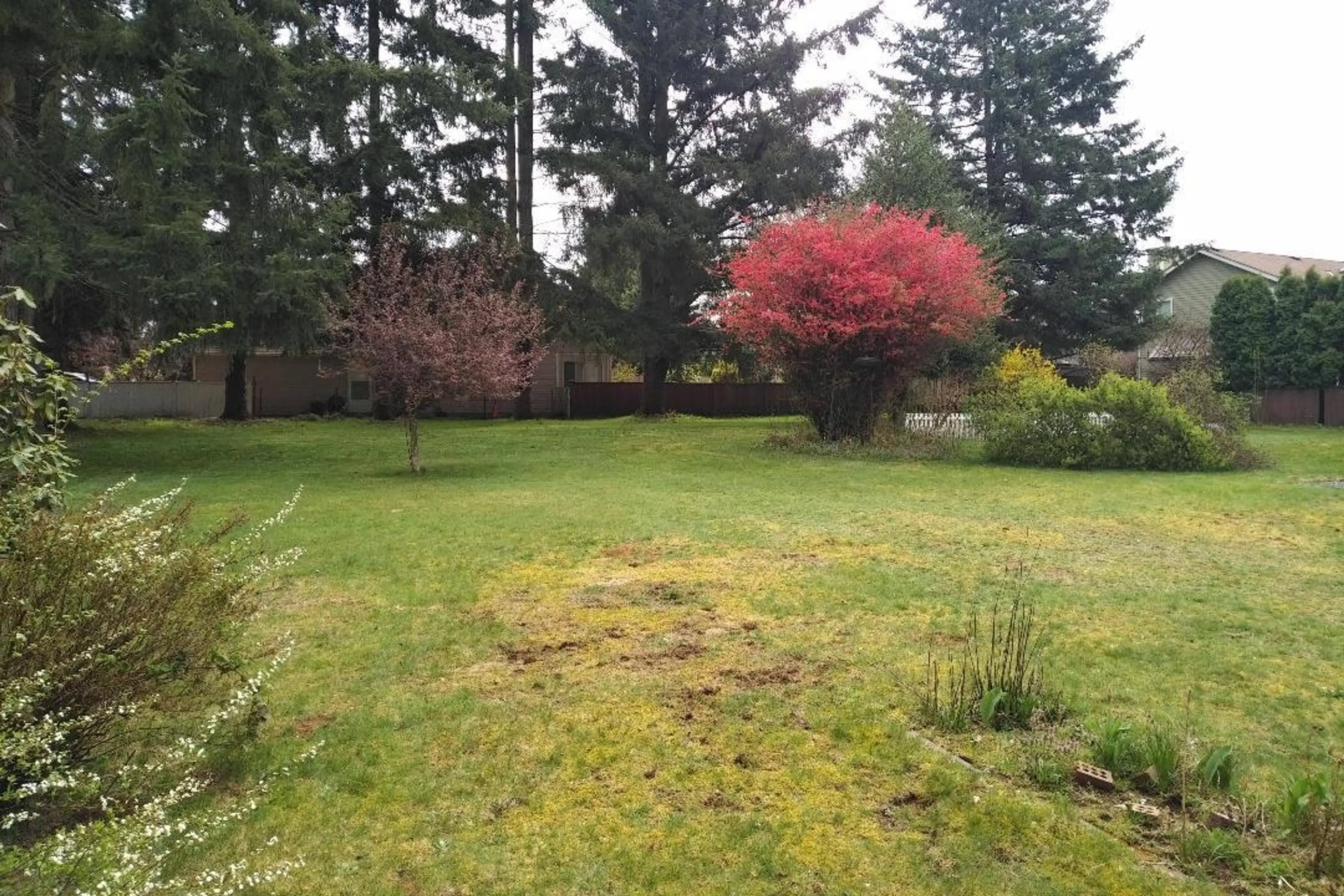 Property at 11726 203 STREET, Maple Ridge, BC