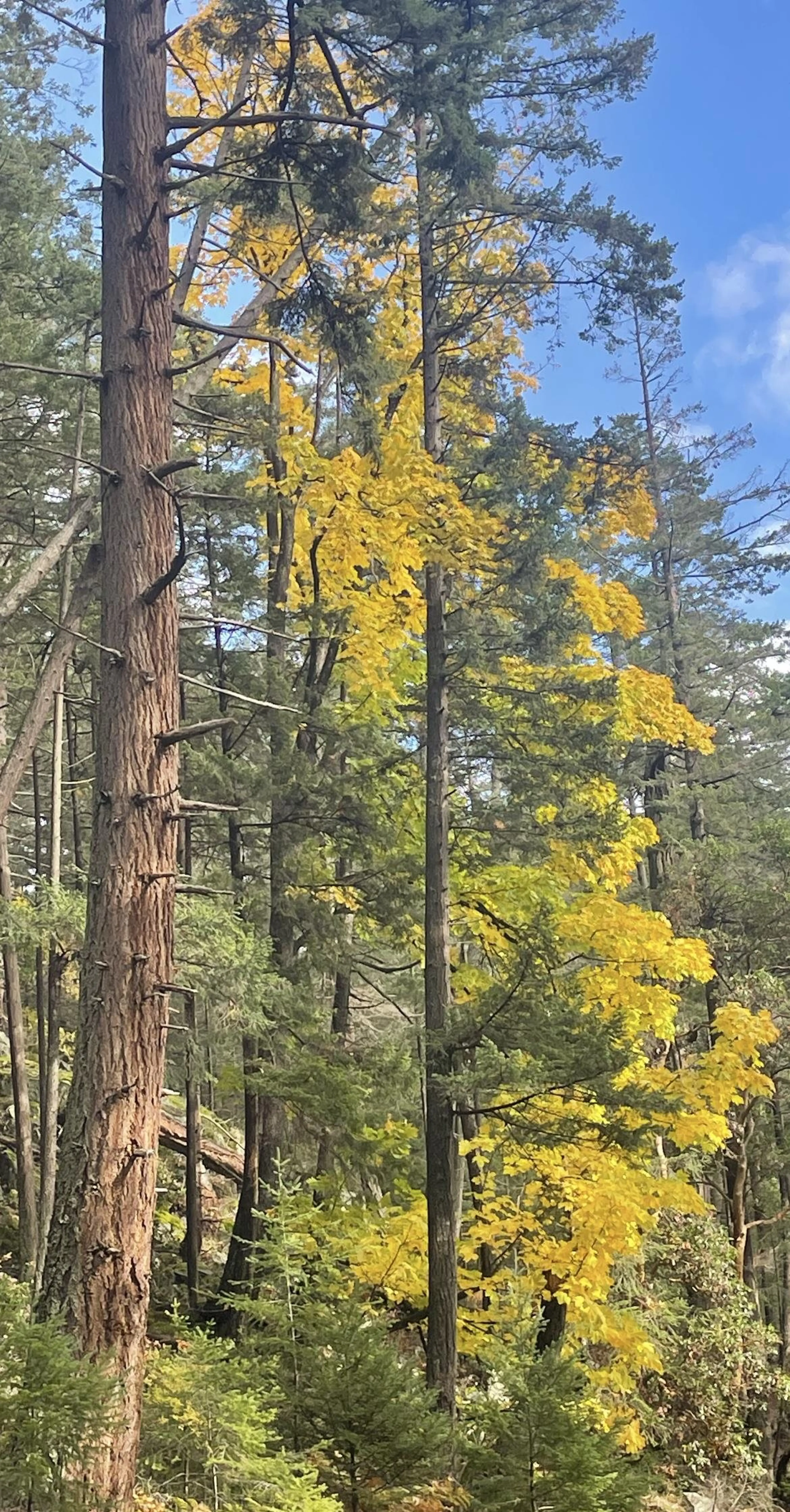 Property at 381 WATERFRONT, Bowen Island, BC