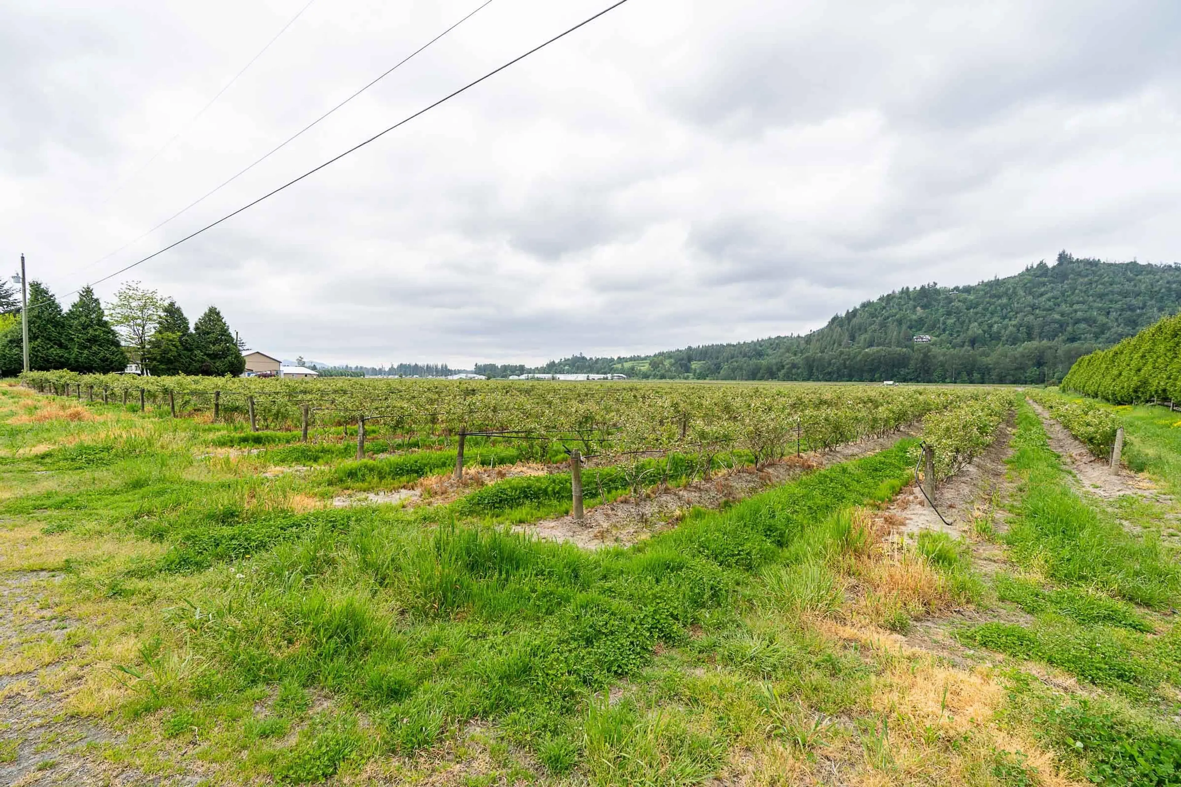 Property at 3593 MCDERMOTT ROAD, Abbotsford, BC