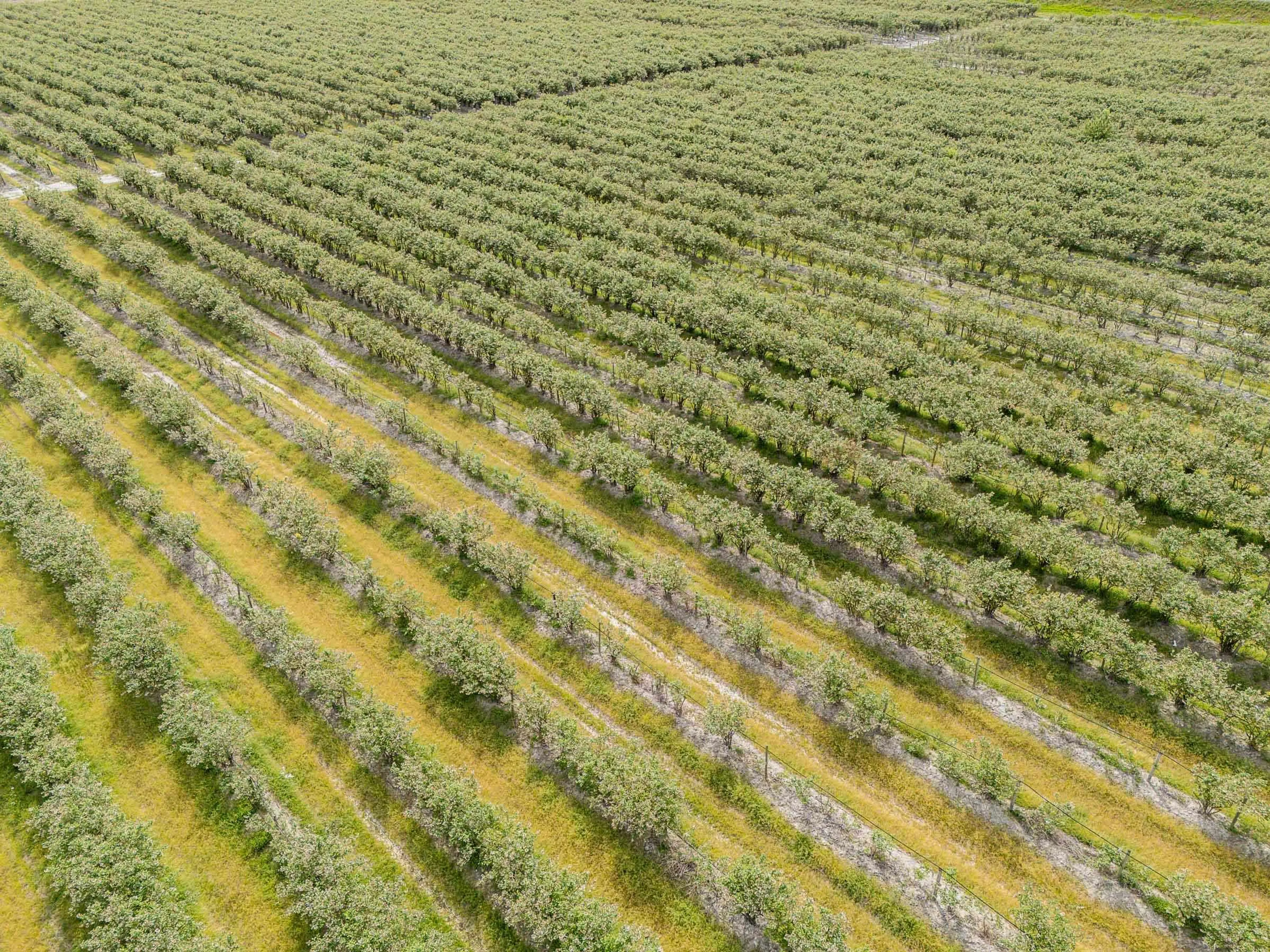 Property at 3593 MCDERMOTT ROAD, Abbotsford, BC