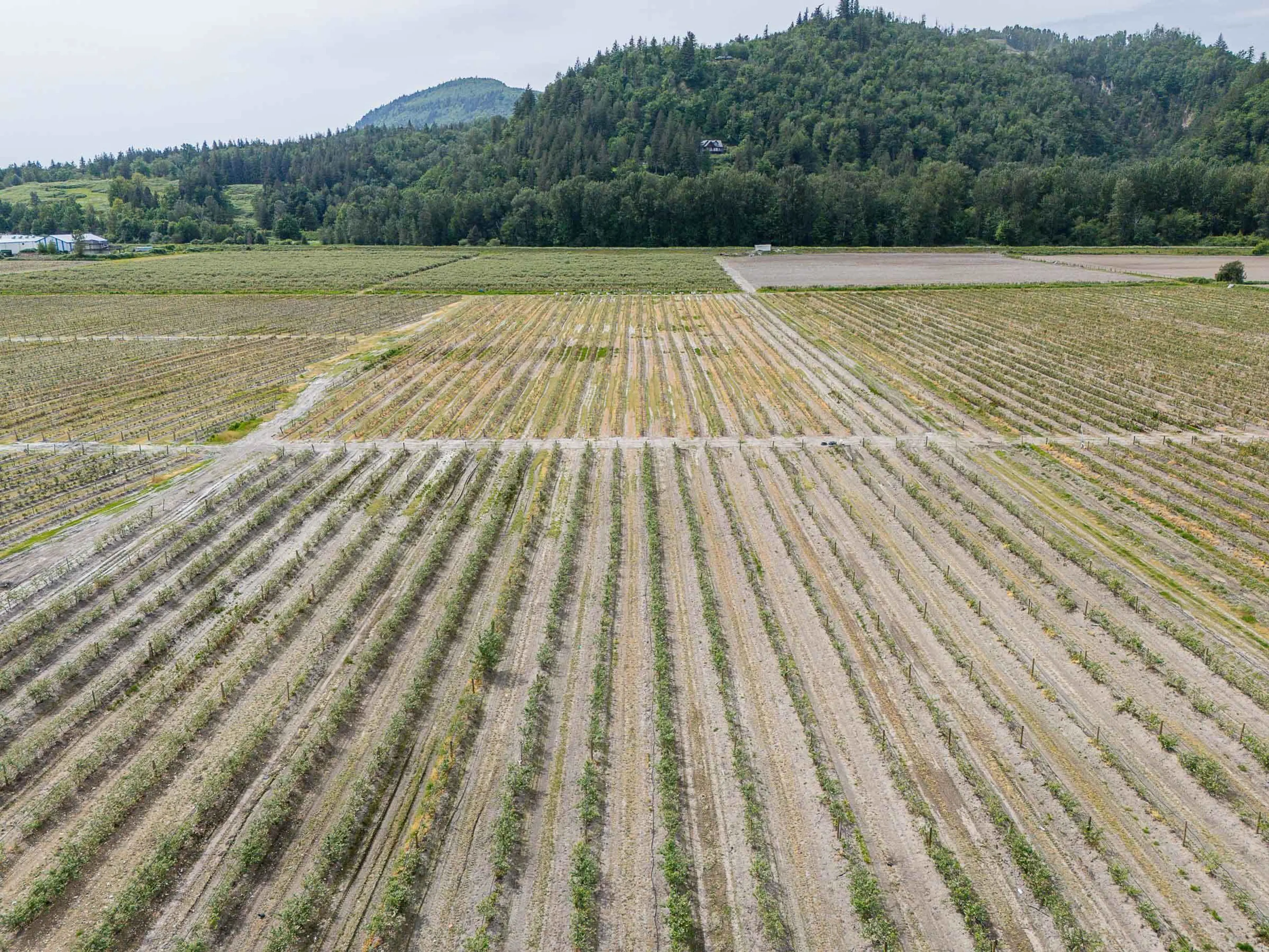 Property at 3593 MCDERMOTT ROAD, Abbotsford, BC