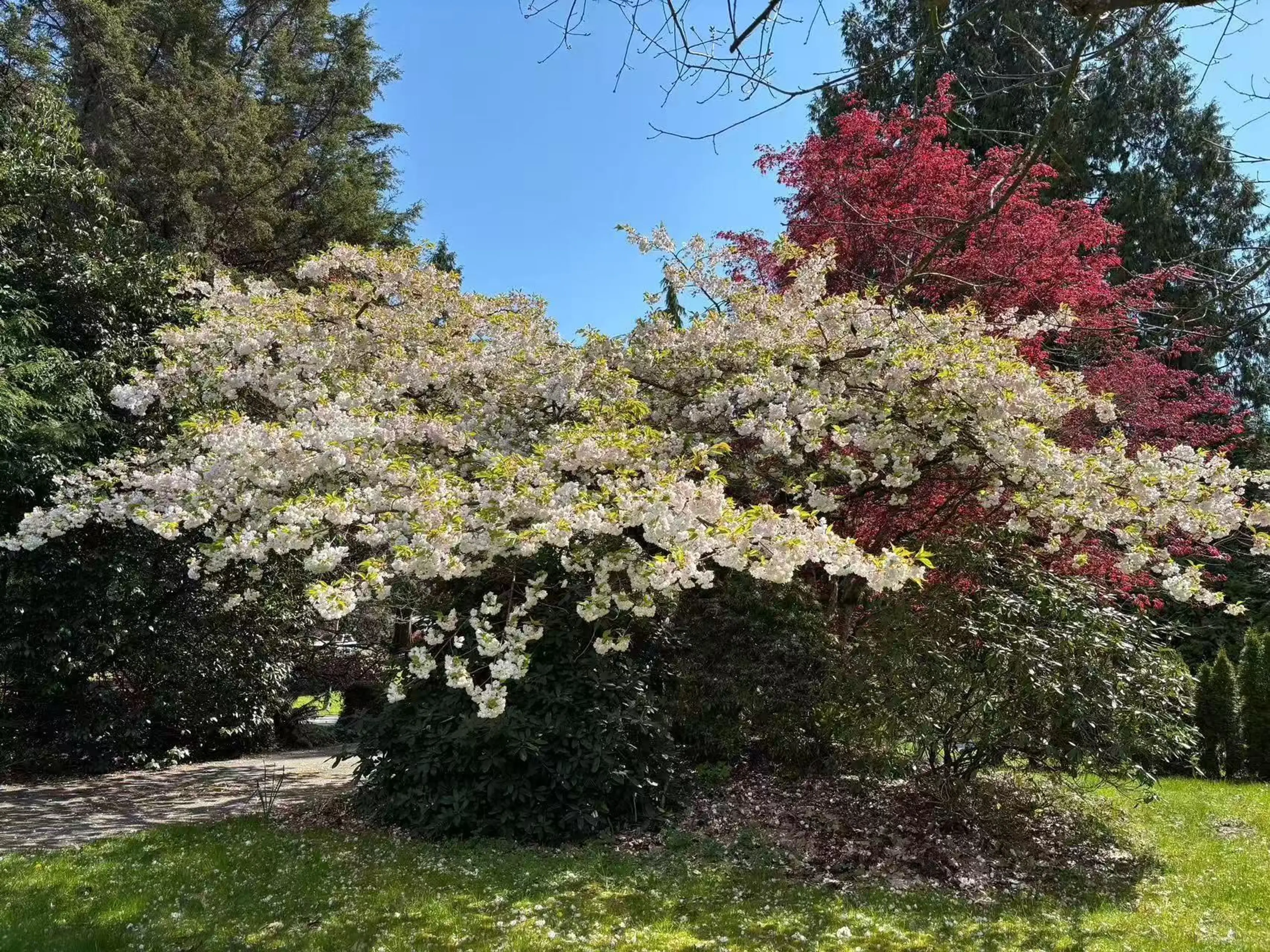 Property at 17327 26A AVENUE, Surrey, BC