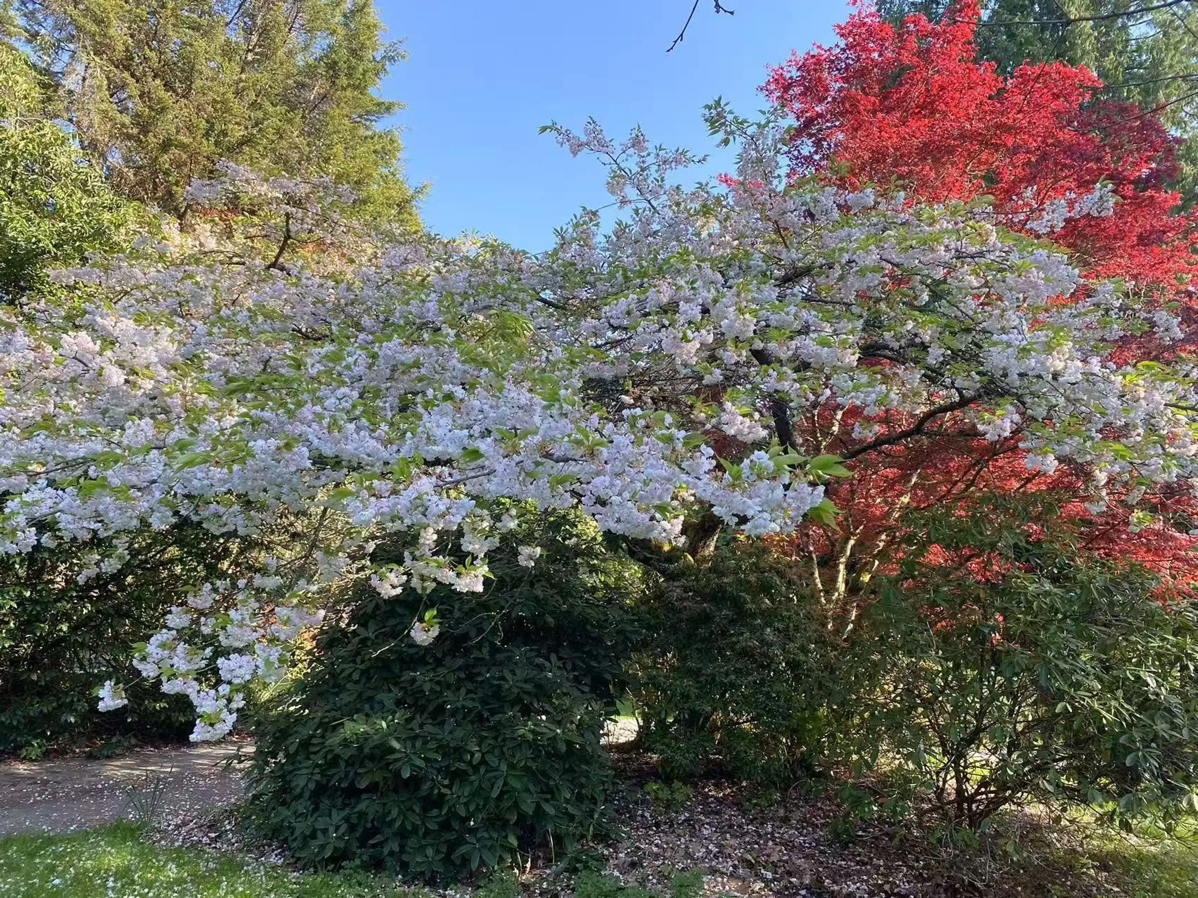 Property at 17327 26A AVENUE, Surrey, BC