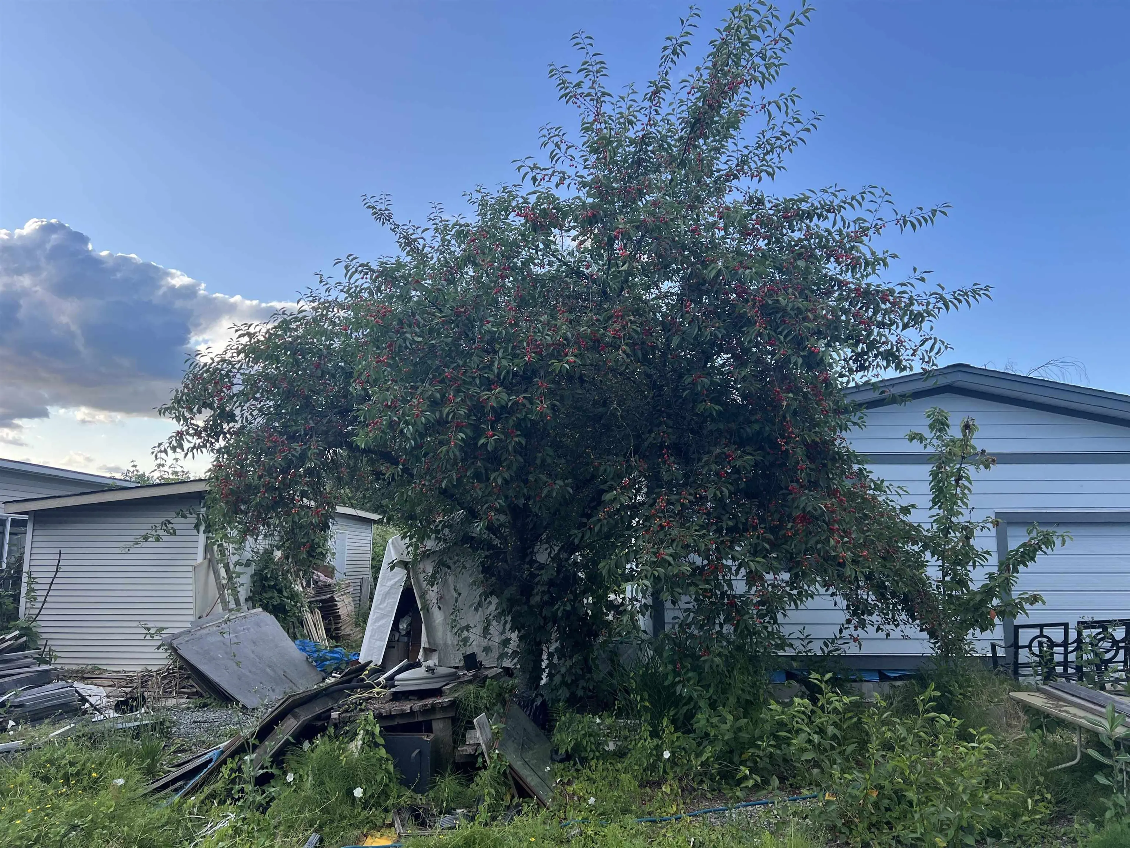 Property at 12473 114 AVENUE, Surrey, BC