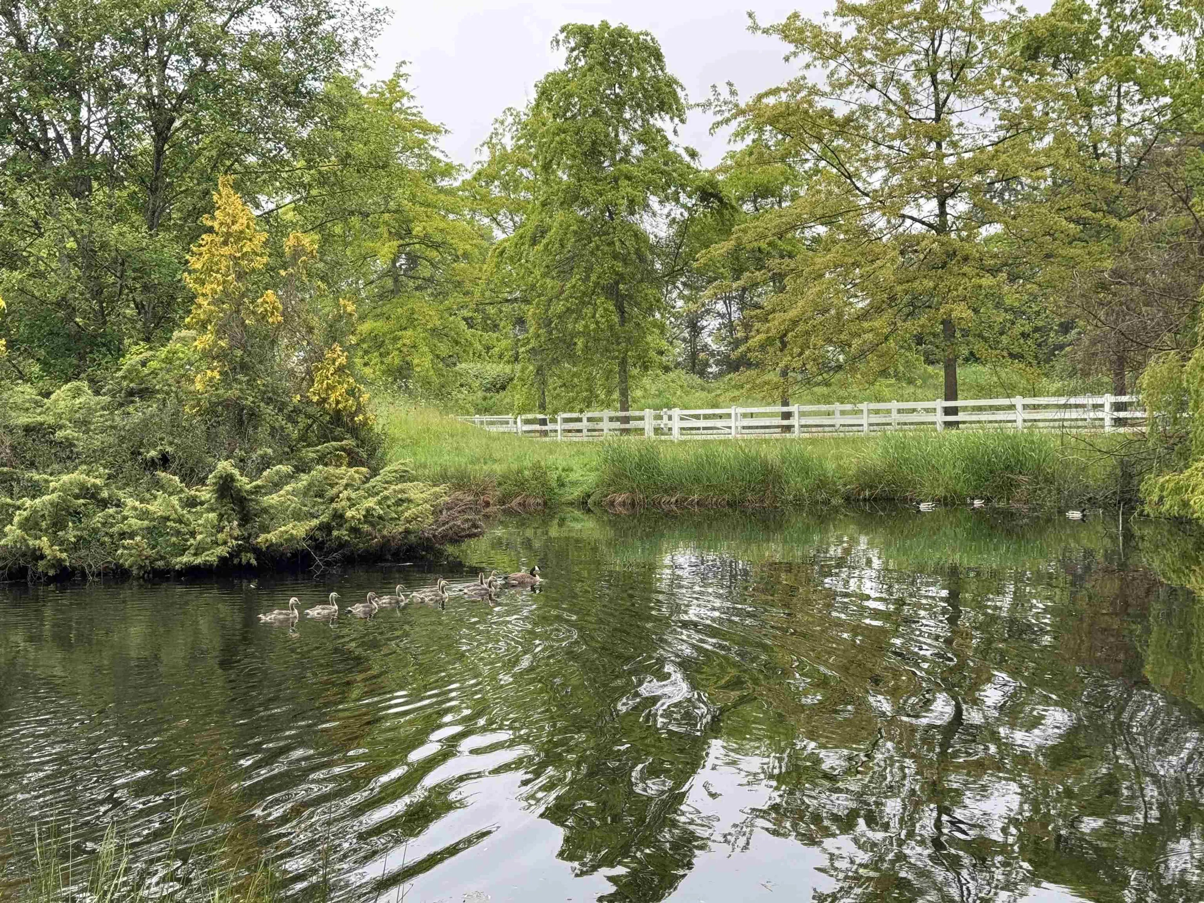 Property at 18224 32 AVENUE, Surrey, BC