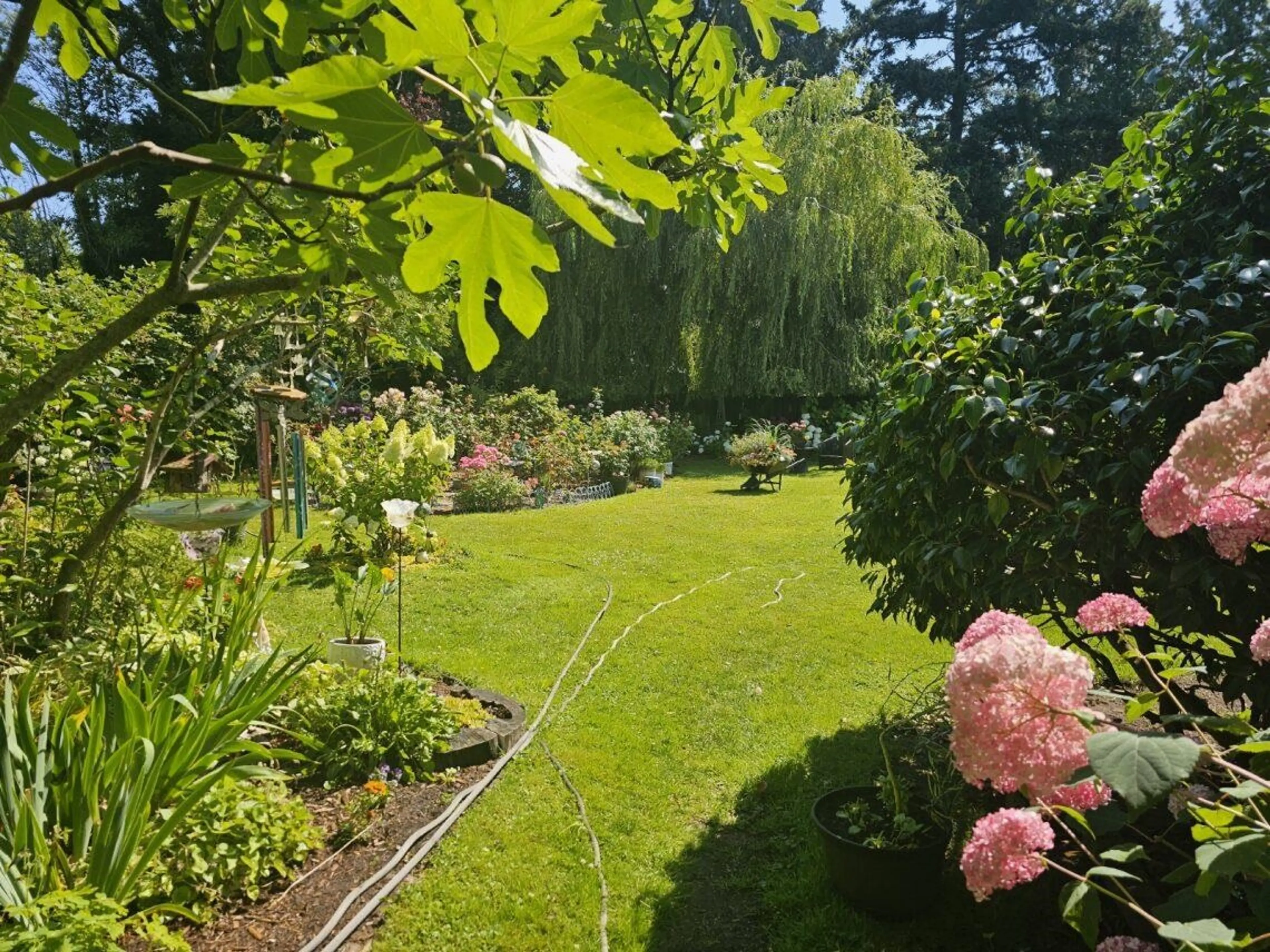 Property at 1424 53A STREET, Delta, BC