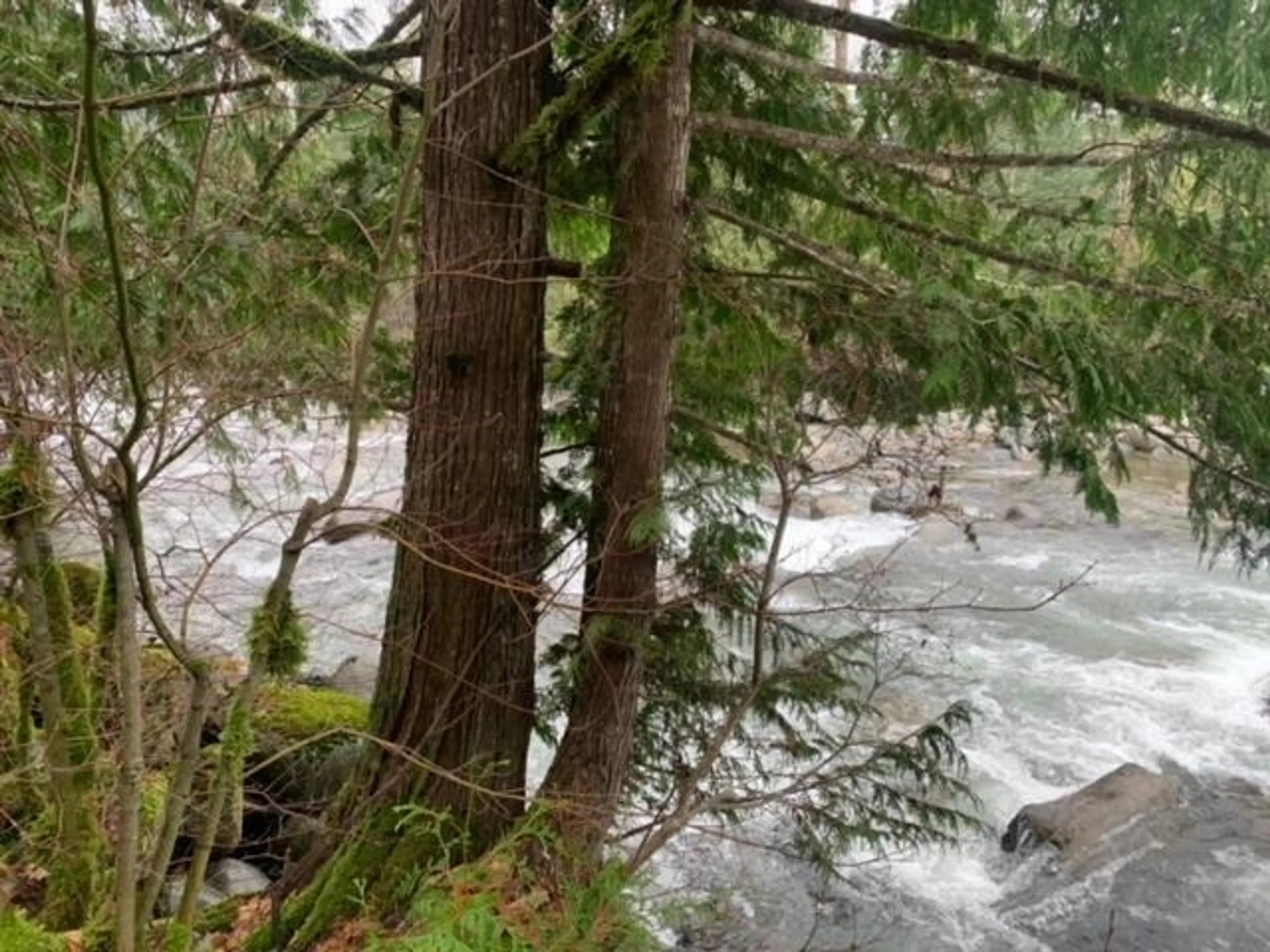 Property at 19552 SILVER SKAGIT ROAD, Hope, BC