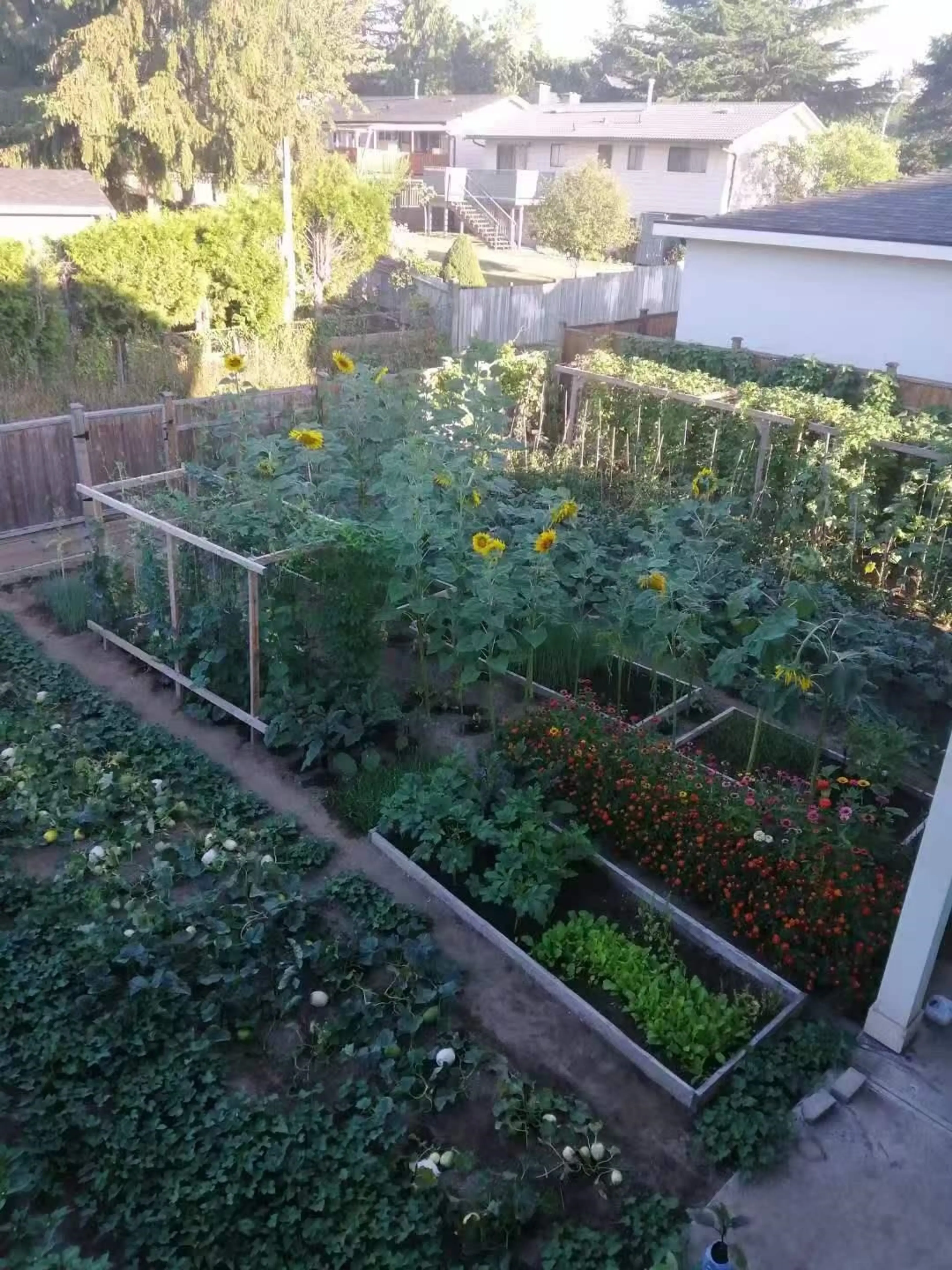 Property at 9669 133A STREET, Surrey, BC